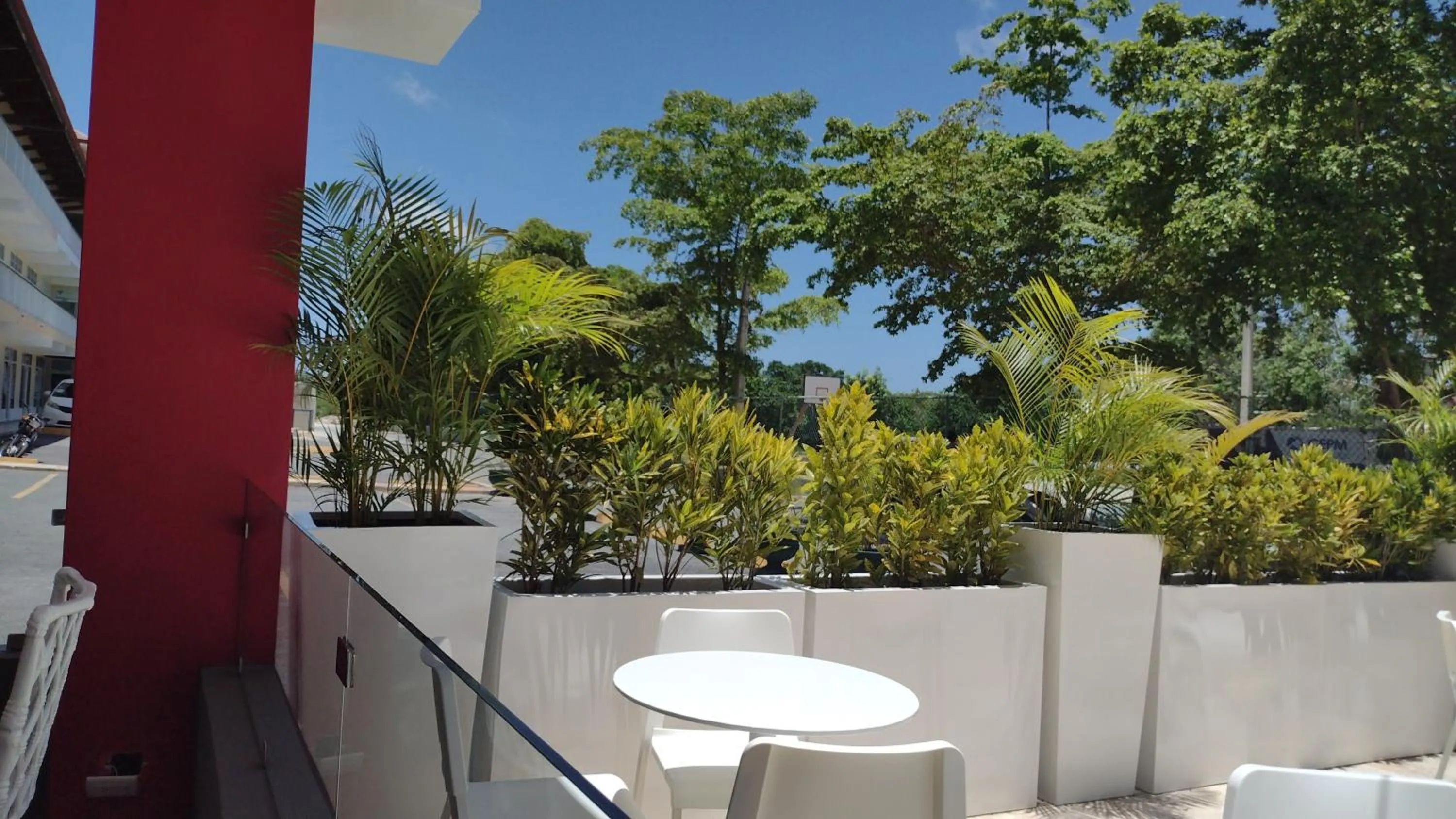 Restaurant/places to eat in Plaza Coral Hotel