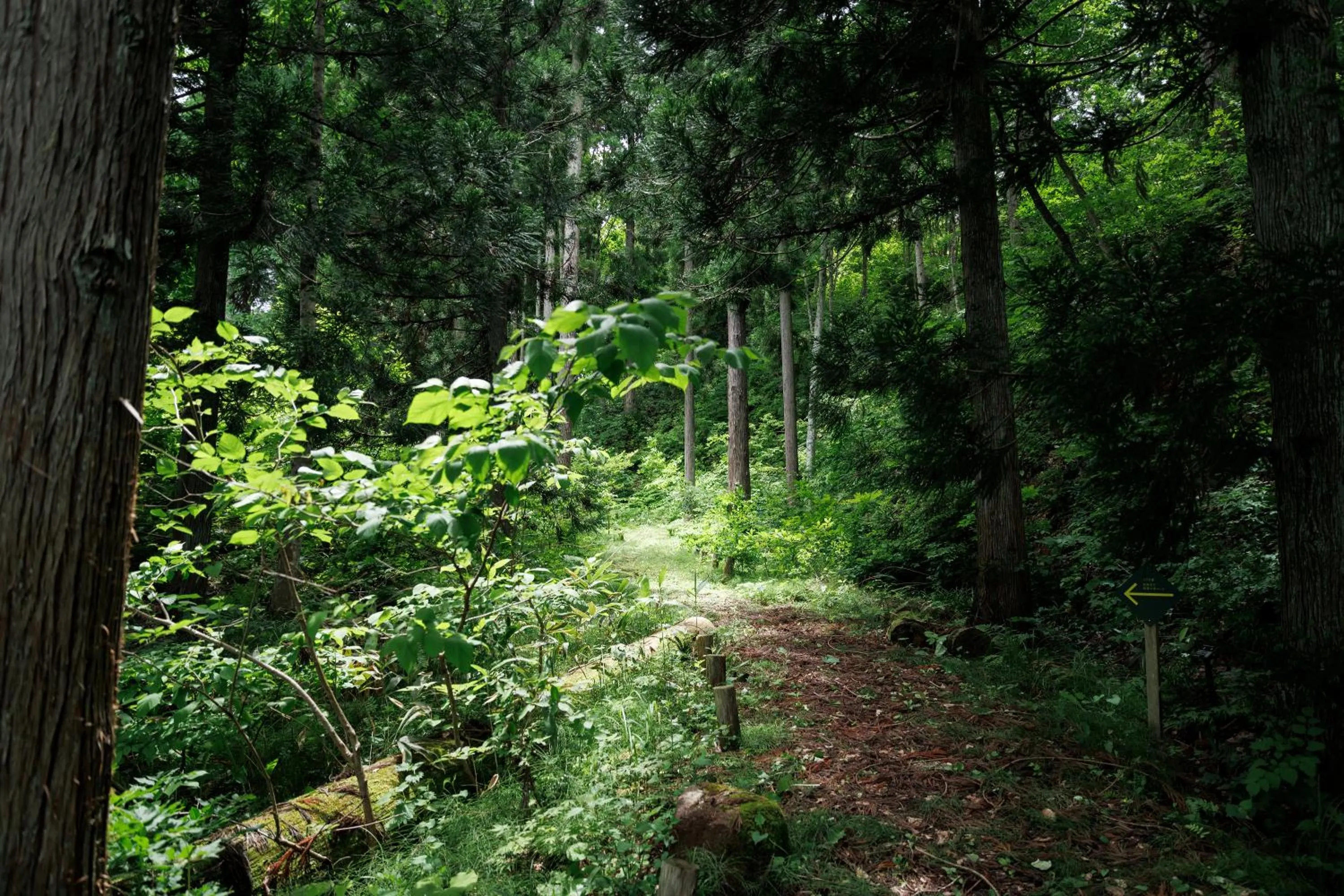 Area and facilities in Hotel Kikori