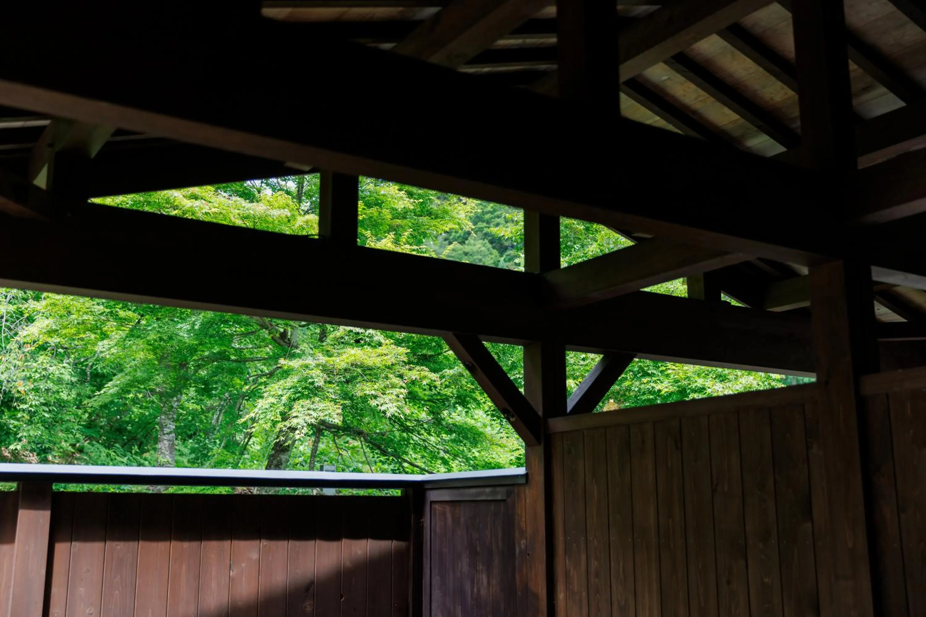 Hot Spring Bath in Hotel Kikori