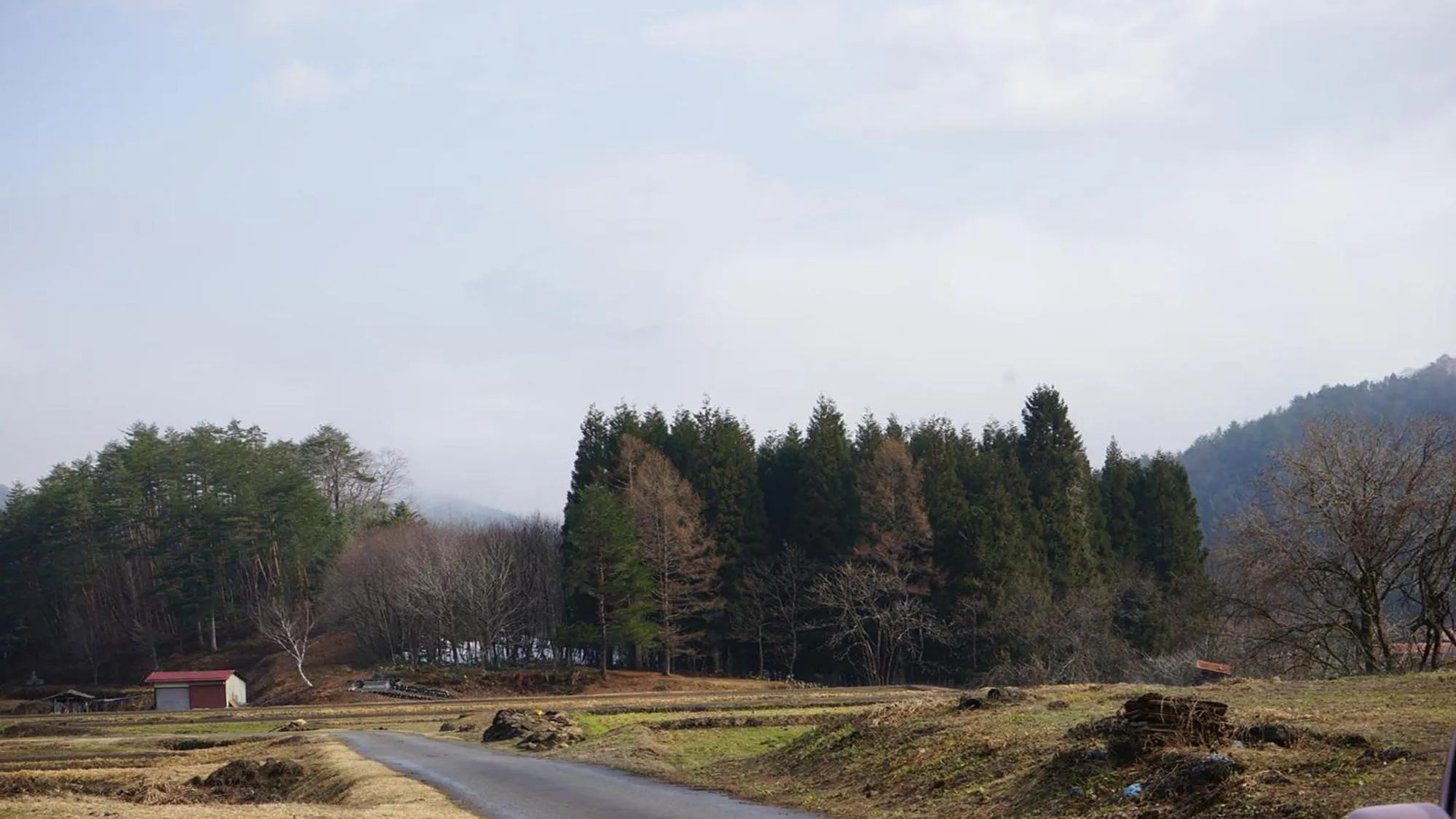 Off site in Hotel Kikori