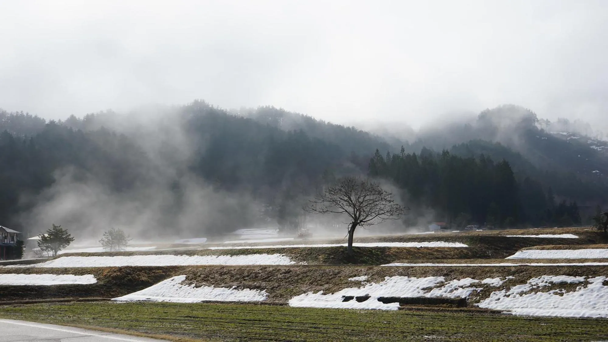 Off site in Hotel Kikori