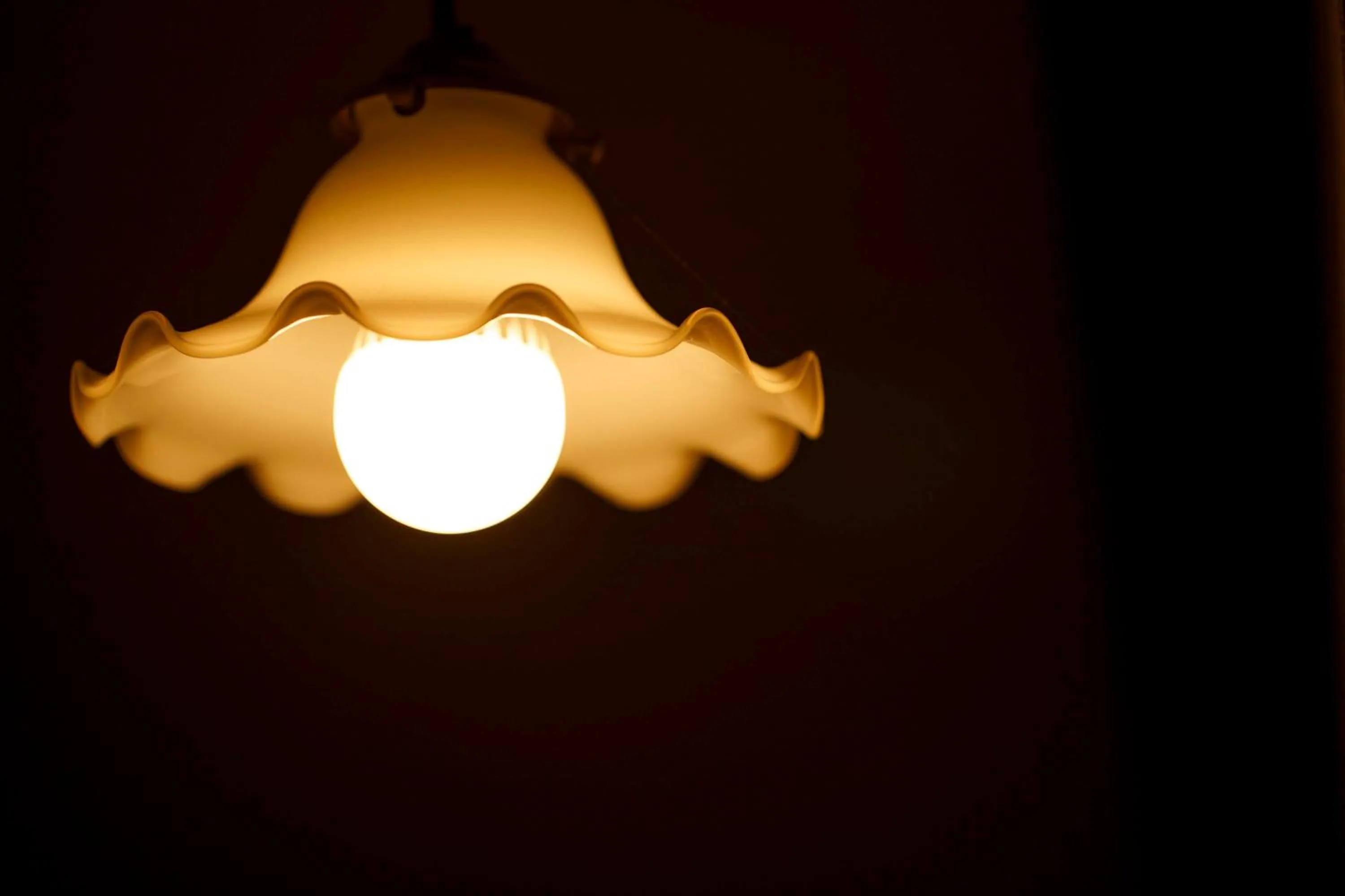 Photo of the whole room in Busuitei