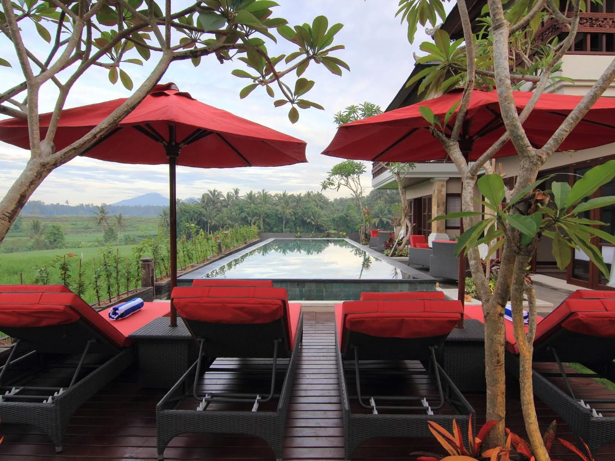 Swimming pool in Uma Stana Villa