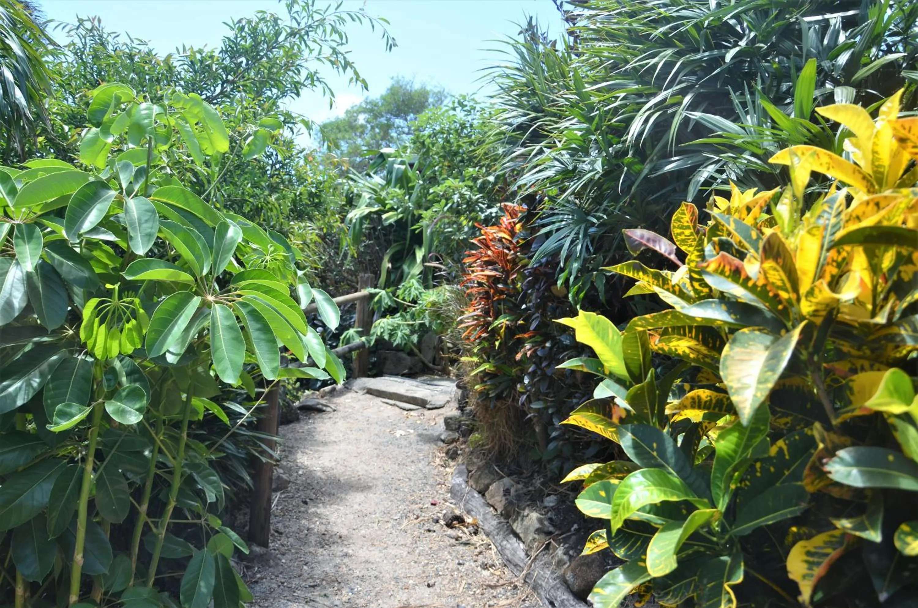 Garden in Cooktown Motel