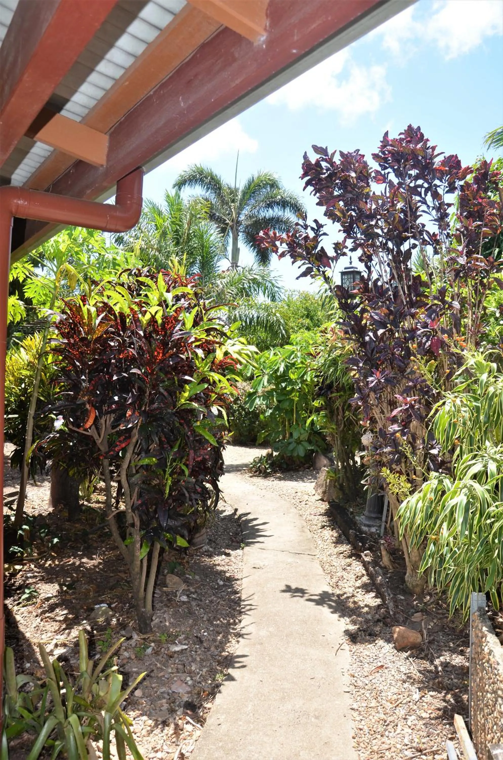 Garden in Cooktown Motel