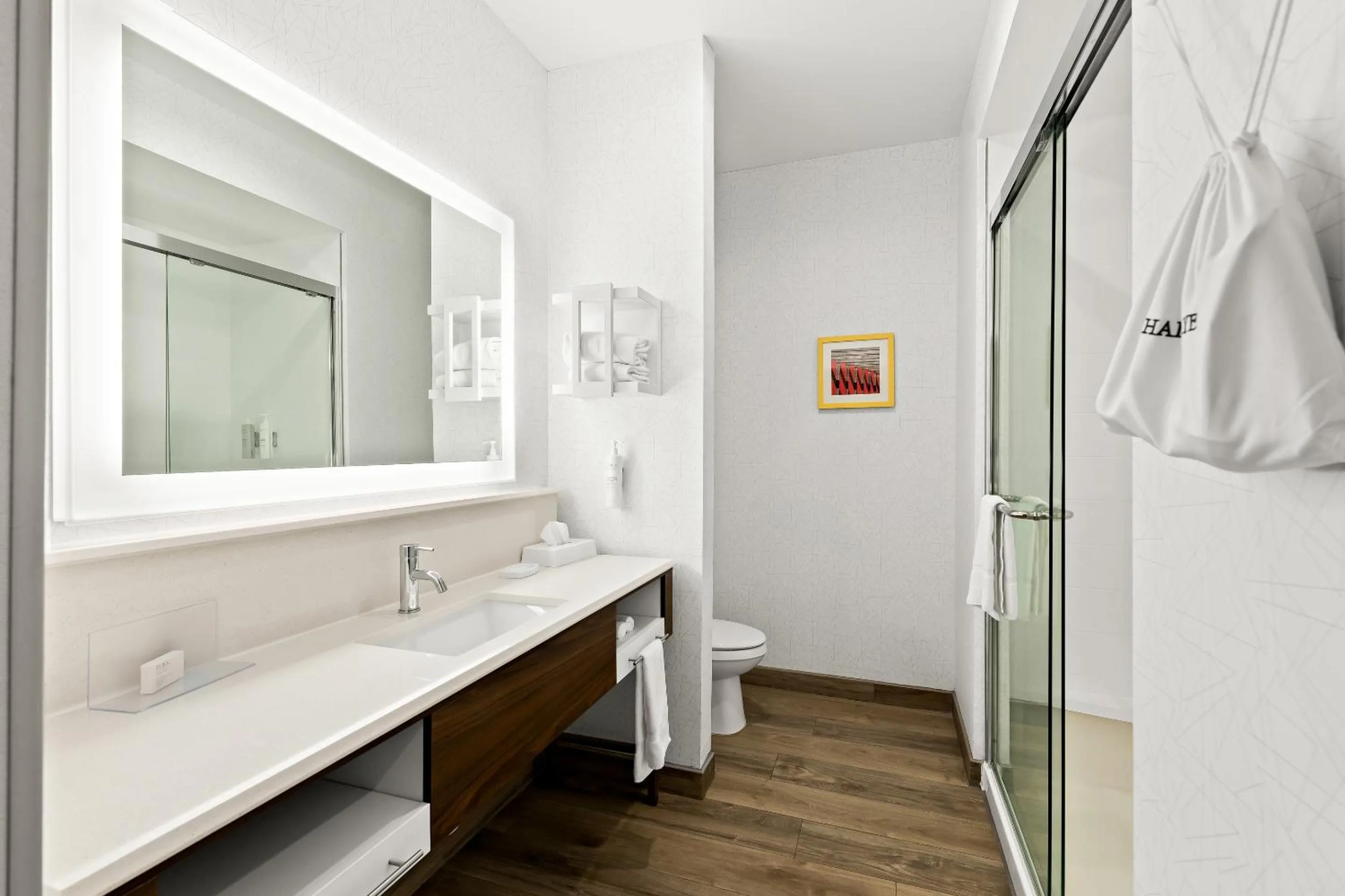 Bathroom in Hampton Inn Longview