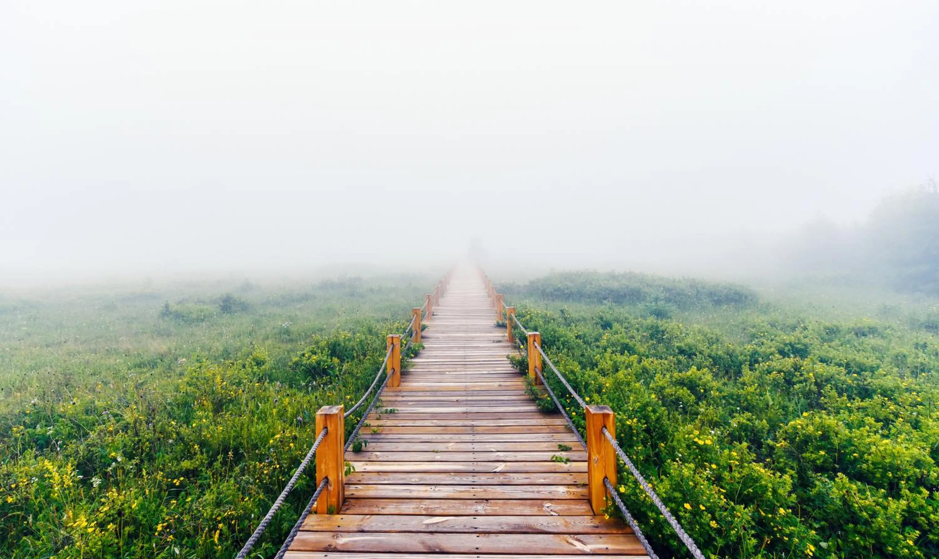 Other in Crowne Plaza Chongli Resort by IHG