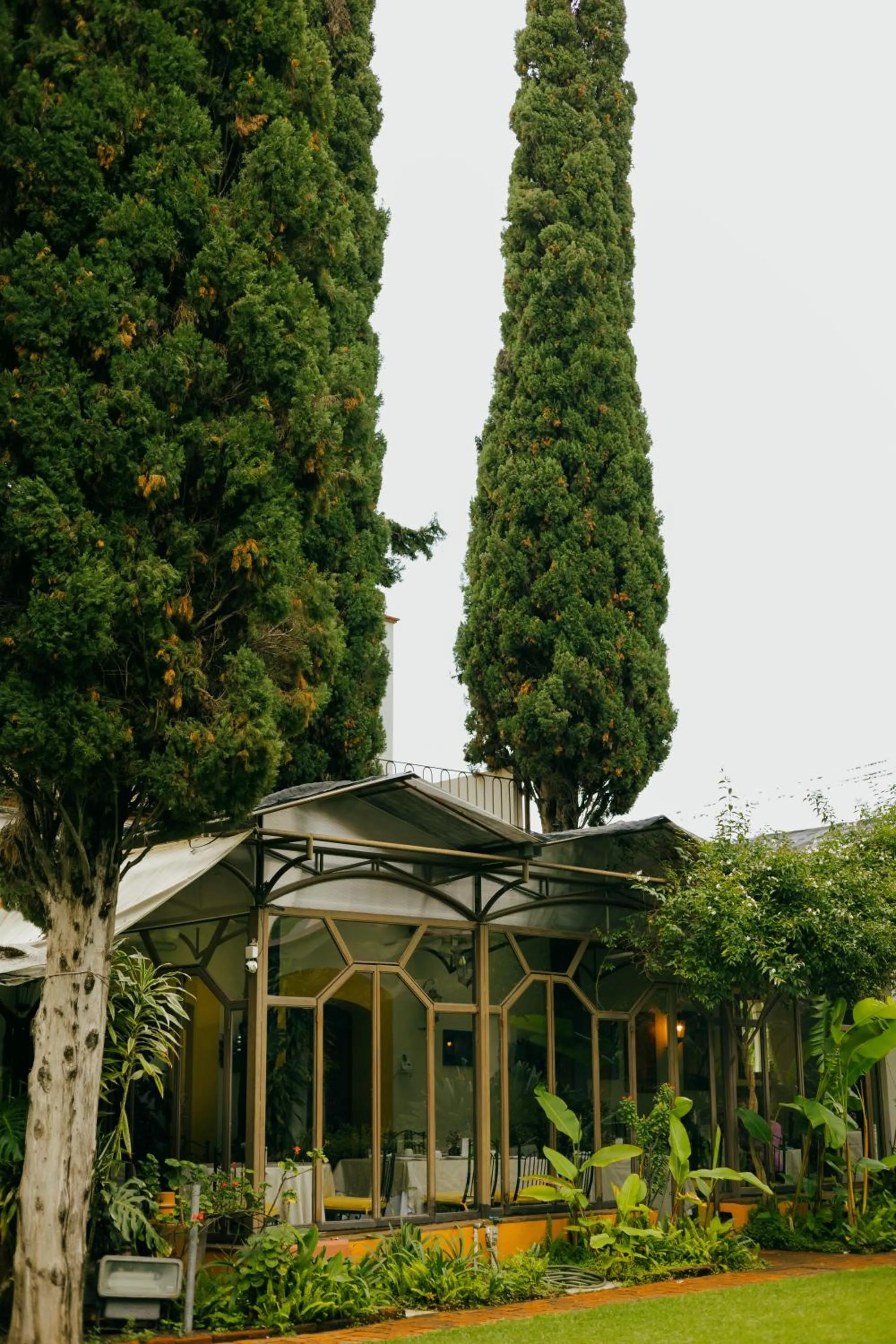 Garden view in Hotel Hacienda Los Laureles