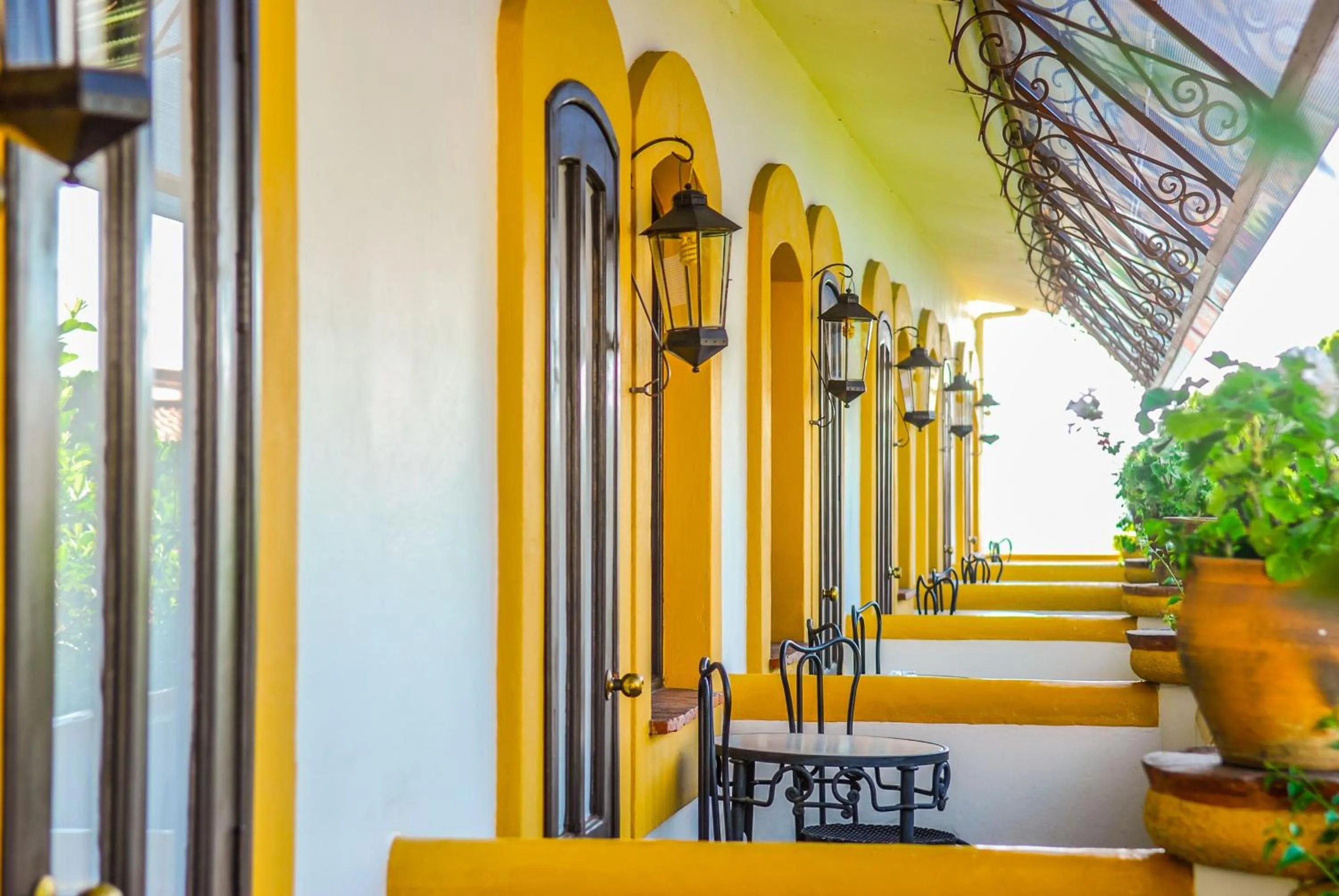 Balcony/Terrace in Hotel Hacienda Los Laureles