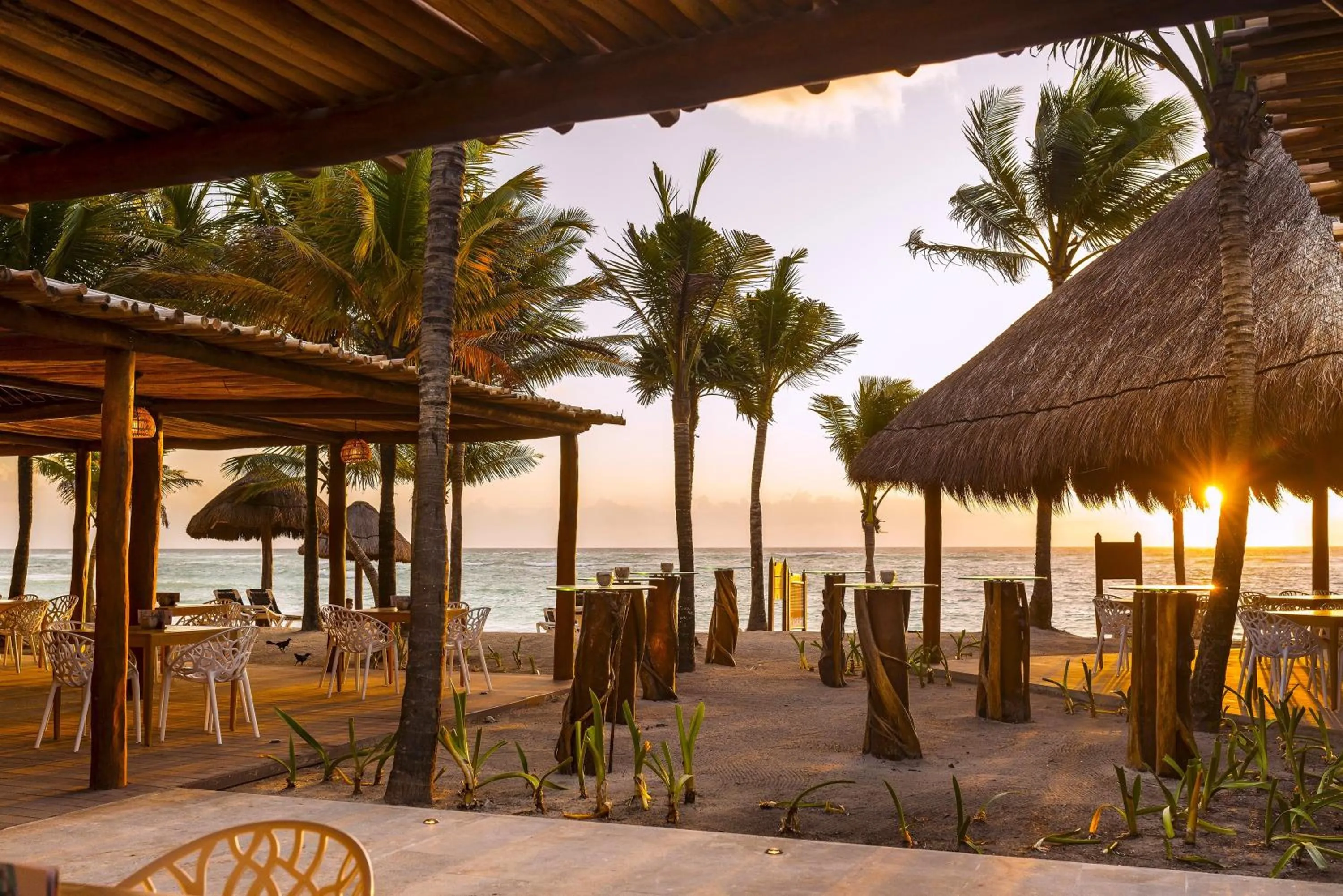 Lounge or bar in Grand Palladium Kantenah Resort & Spa - All Inclusive