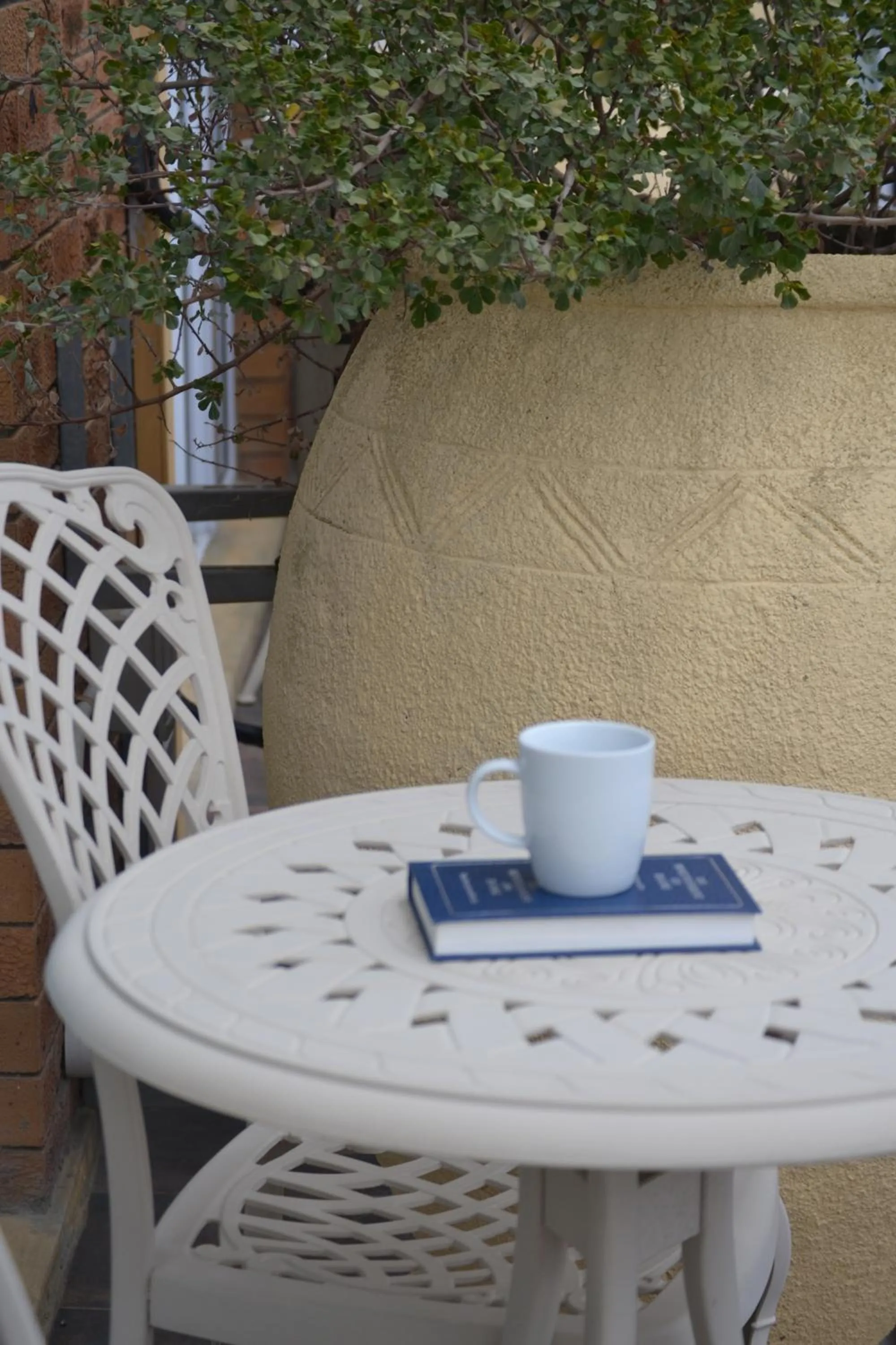 Balcony/Terrace in Blougans B&B