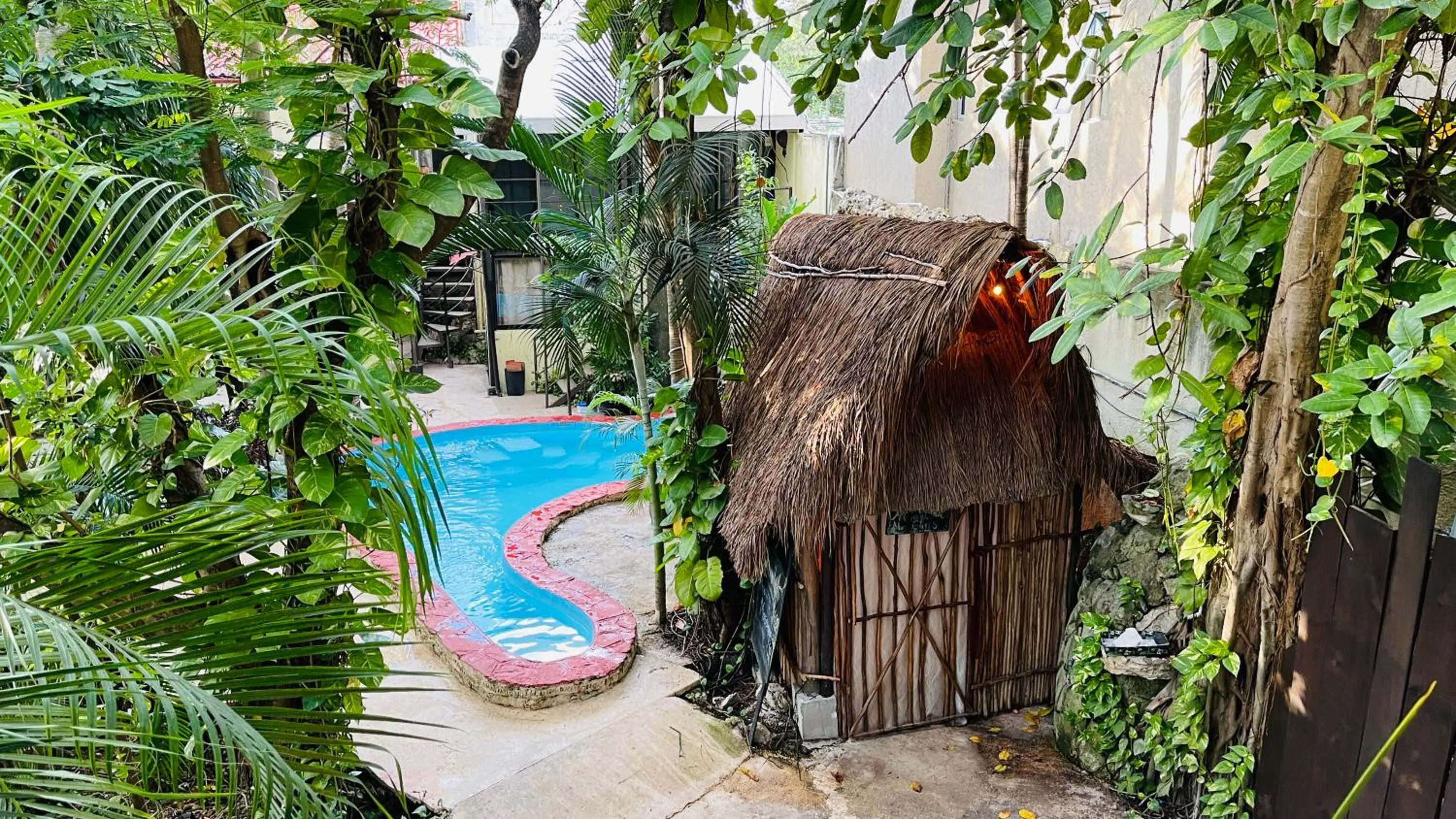 Pool view in Hotel B&B - 5th Avenue
