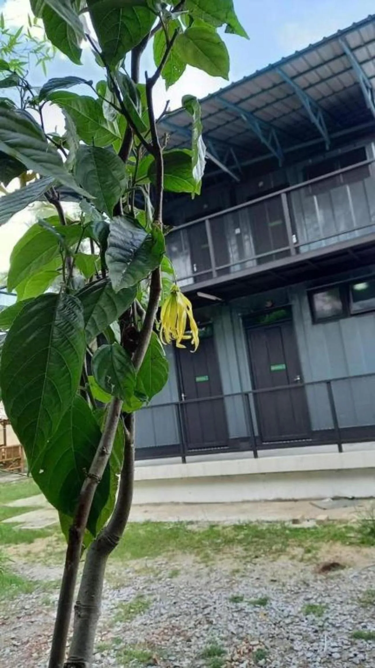 Bedroom in Cerana Villa Eco Resort