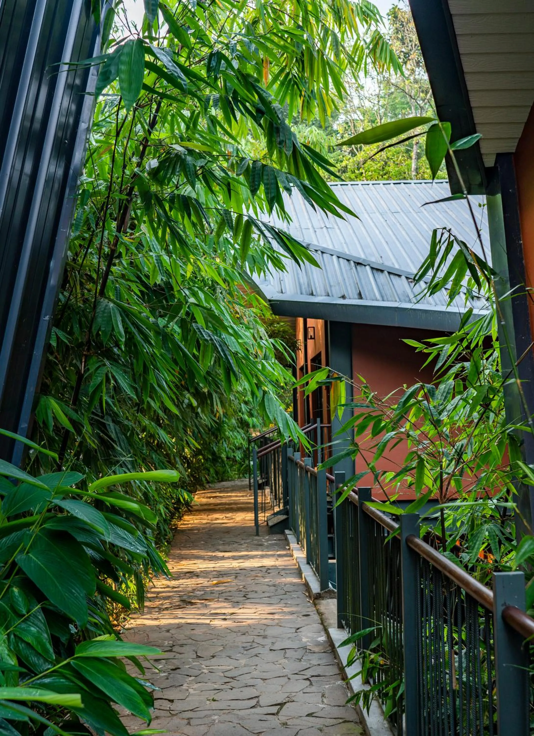 Property building in Vyna Hillock Resort