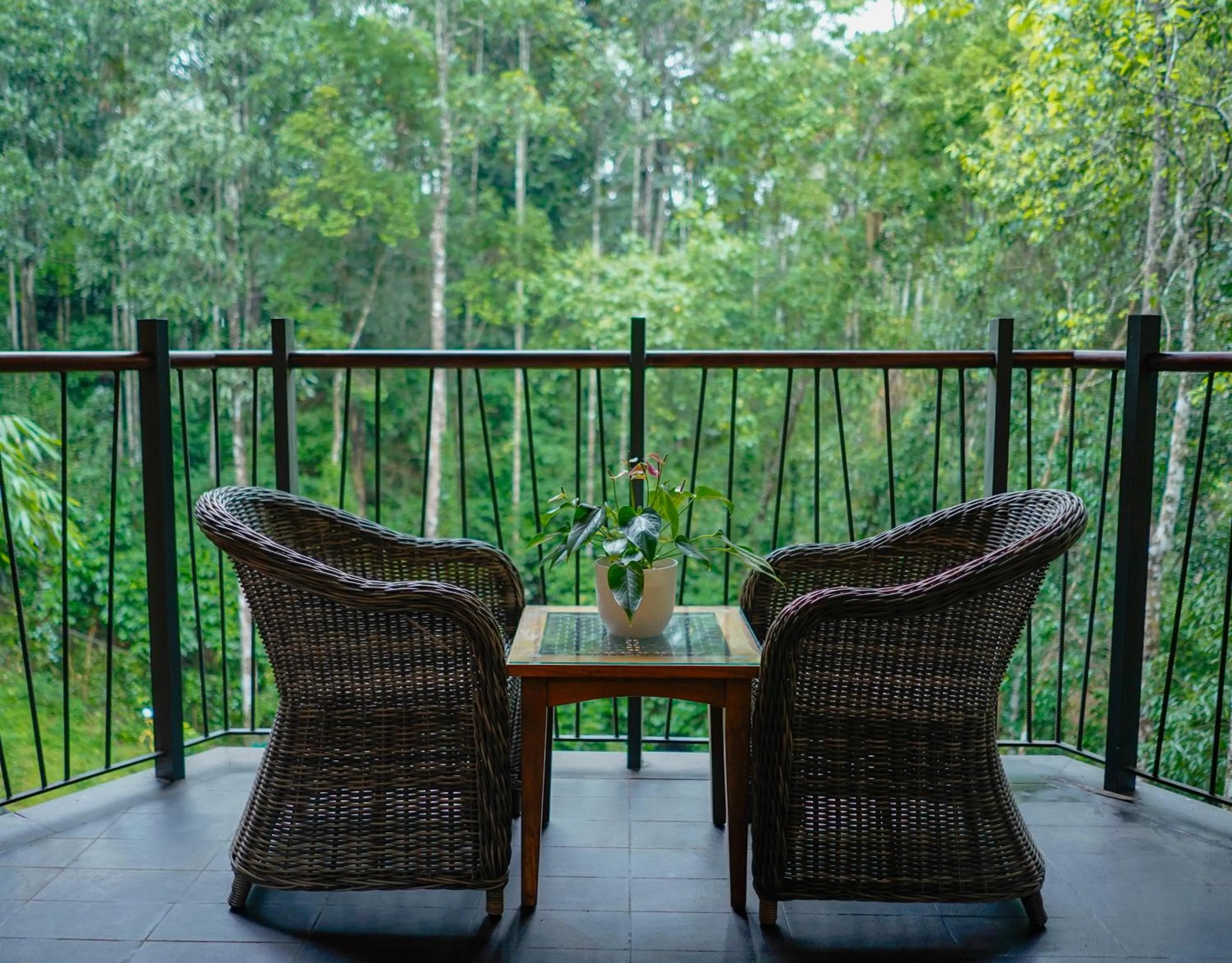 View (from property/room) in Vyna Hillock Resort