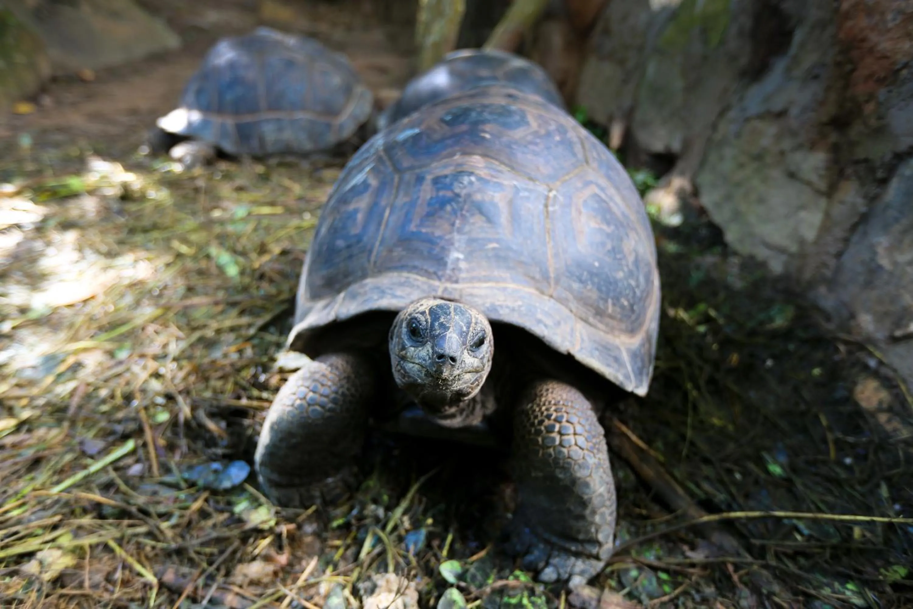 Other in Sea View Lodge