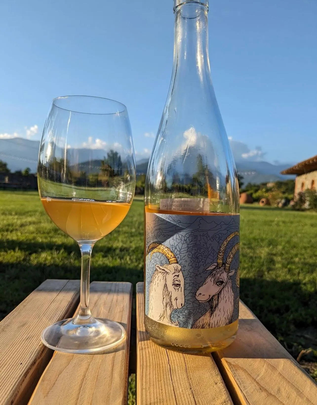 Day in Chubini Winery & Cabins