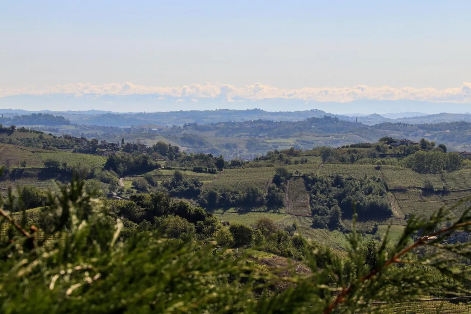 Natural landscape in Villa Nonna Cicci Boutique Hotel - SPA