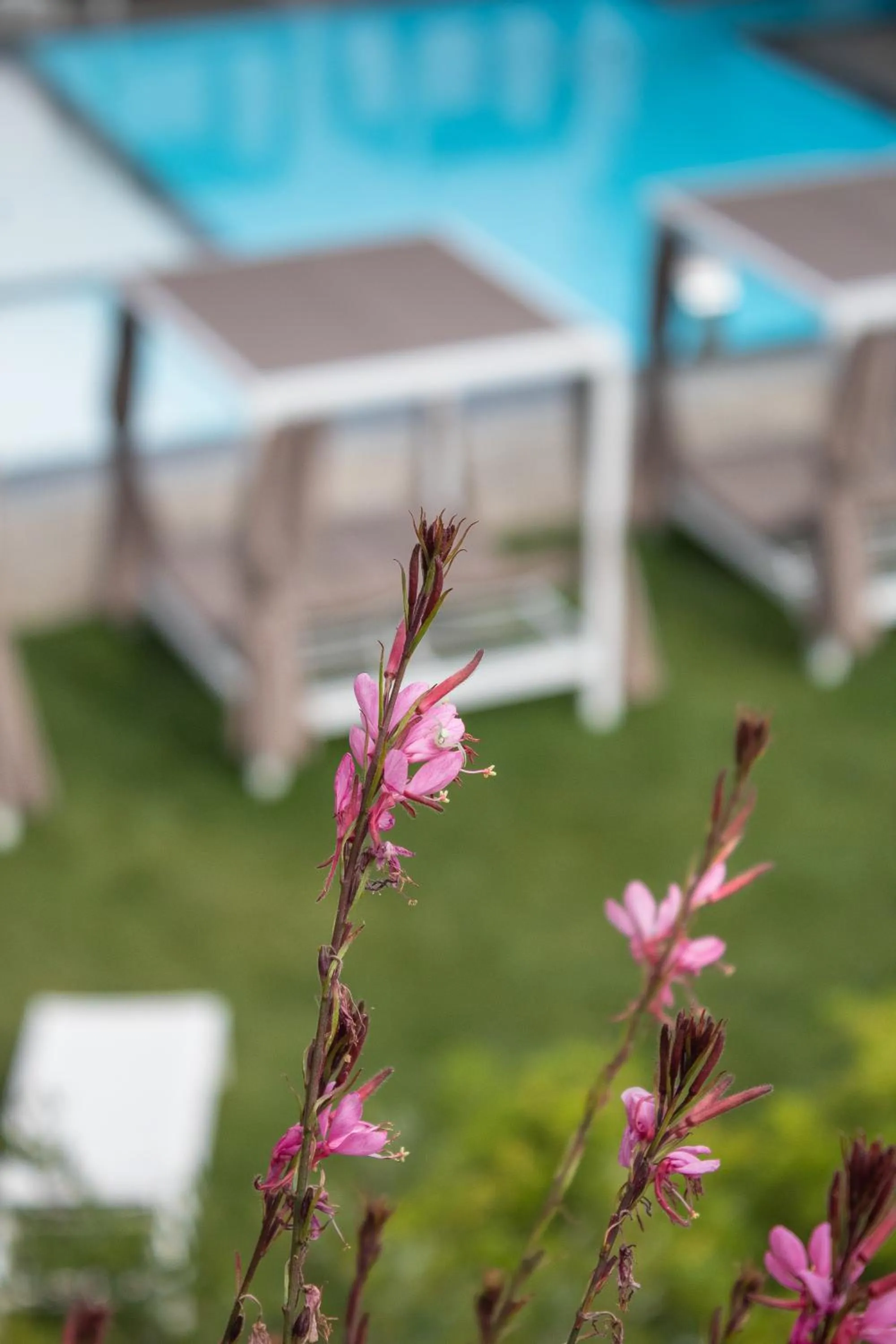 Garden in Villa Nonna Cicci Boutique Hotel - SPA
