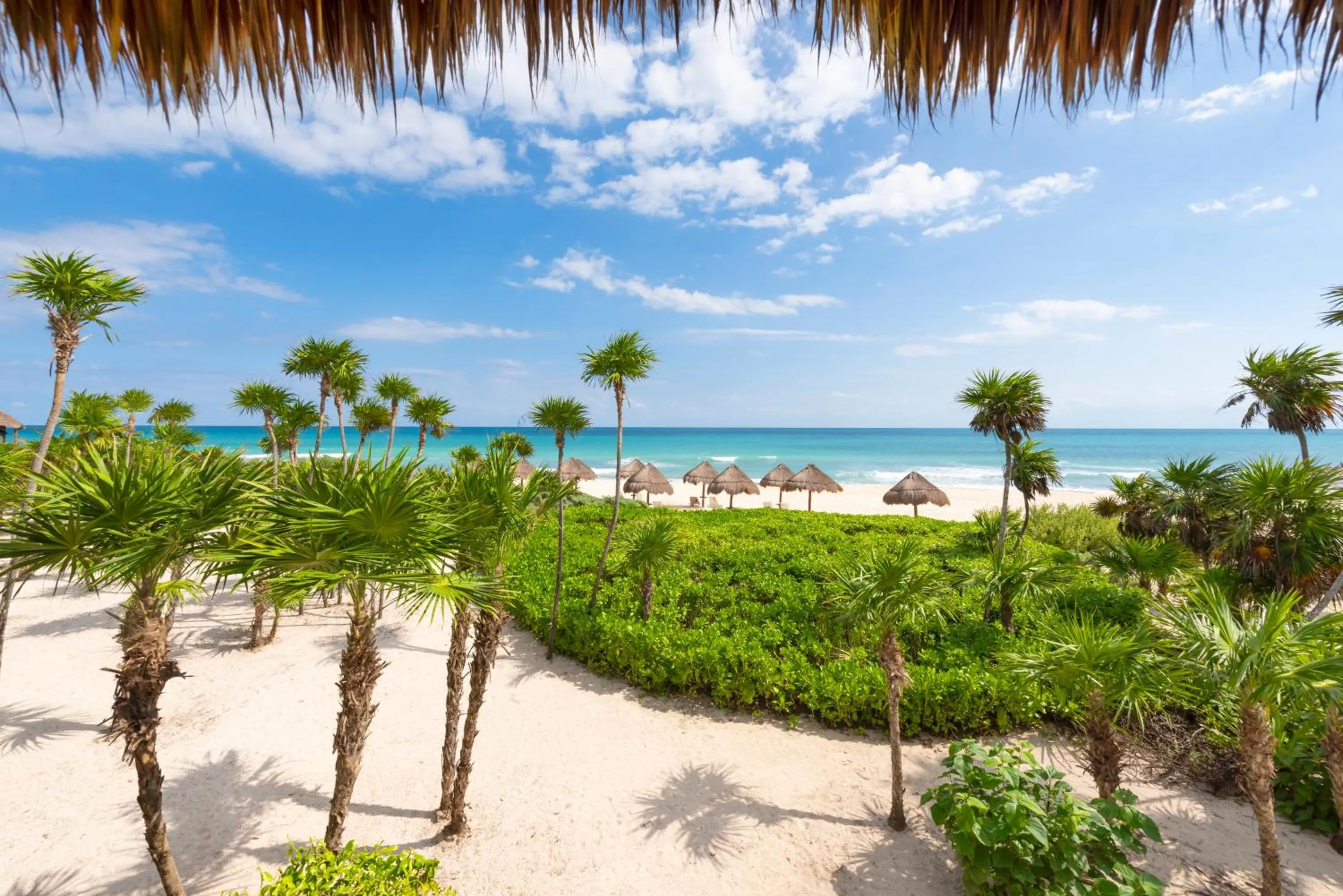 Natural landscape in Valentin Imperial Riviera Maya All Inclusive - Adults Only