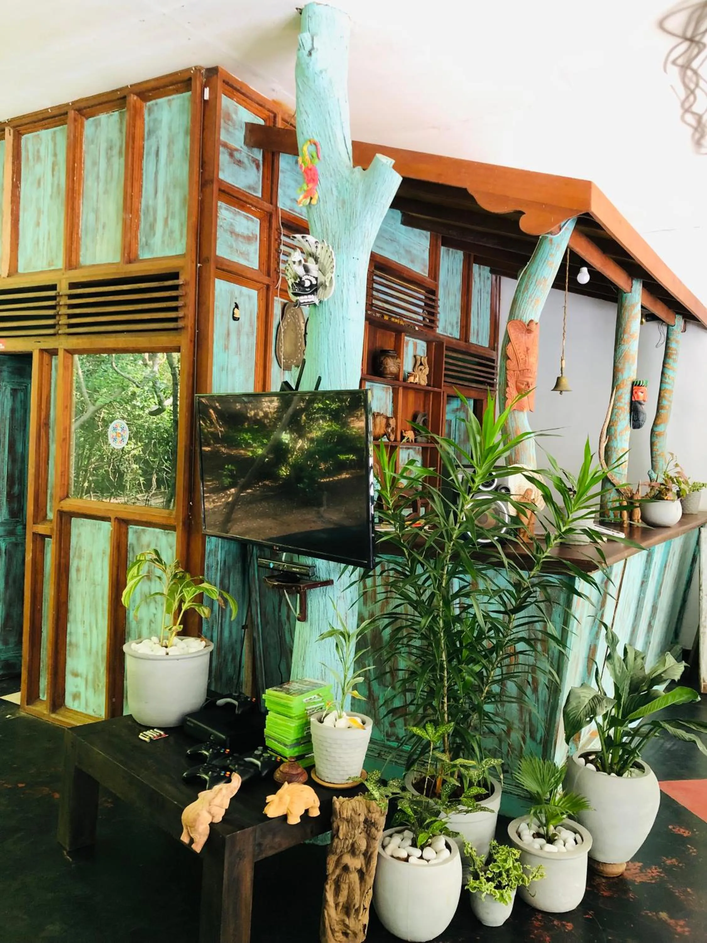 TV and multimedia in Hungry Lion Sigiriya