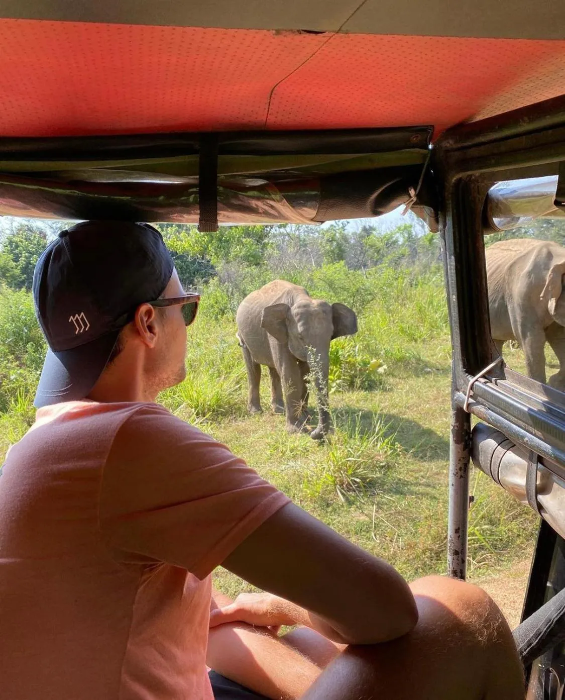 Natural landscape in Hungry Lion Sigiriya