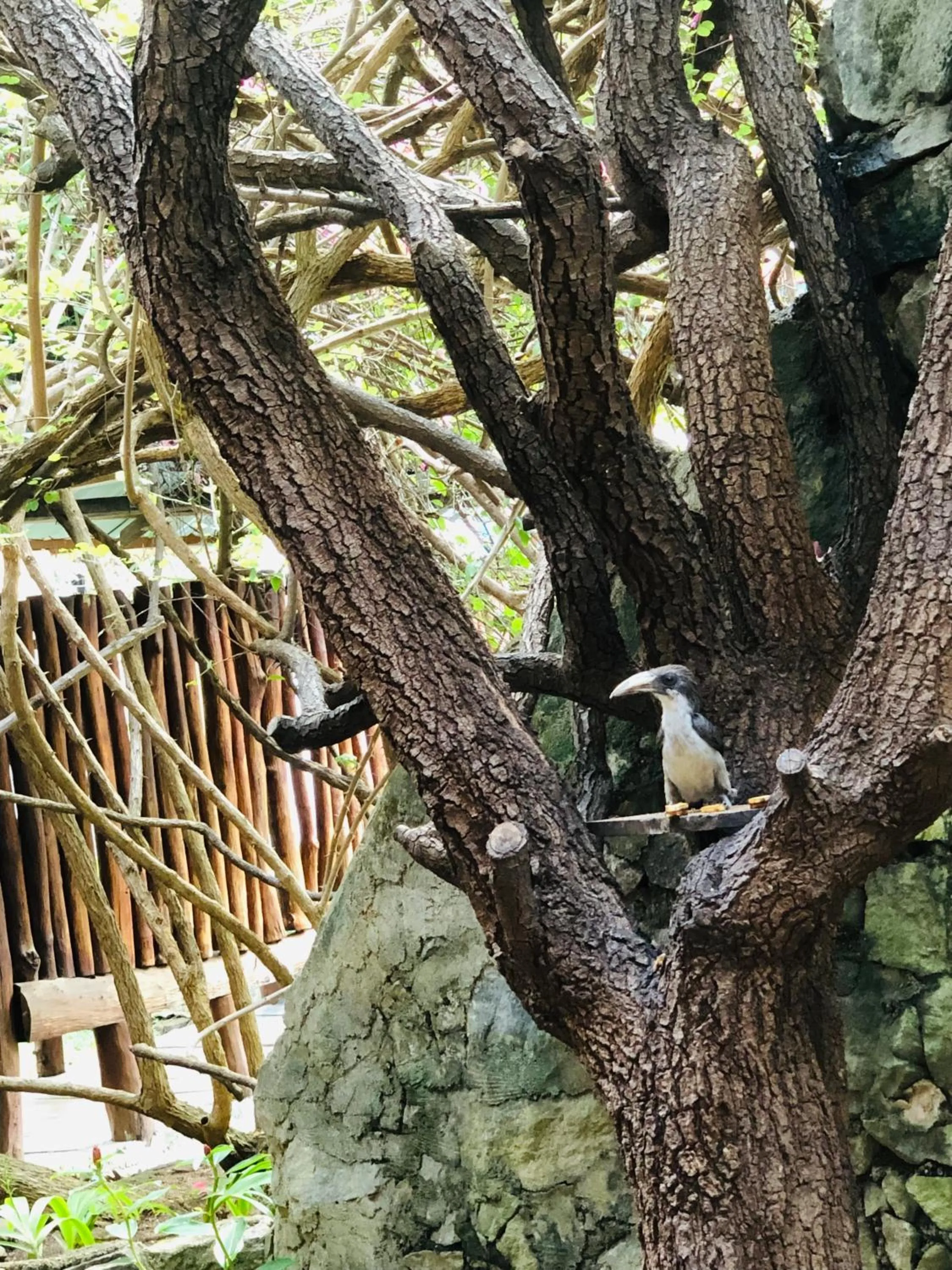 Natural landscape in Hungry Lion Sigiriya
