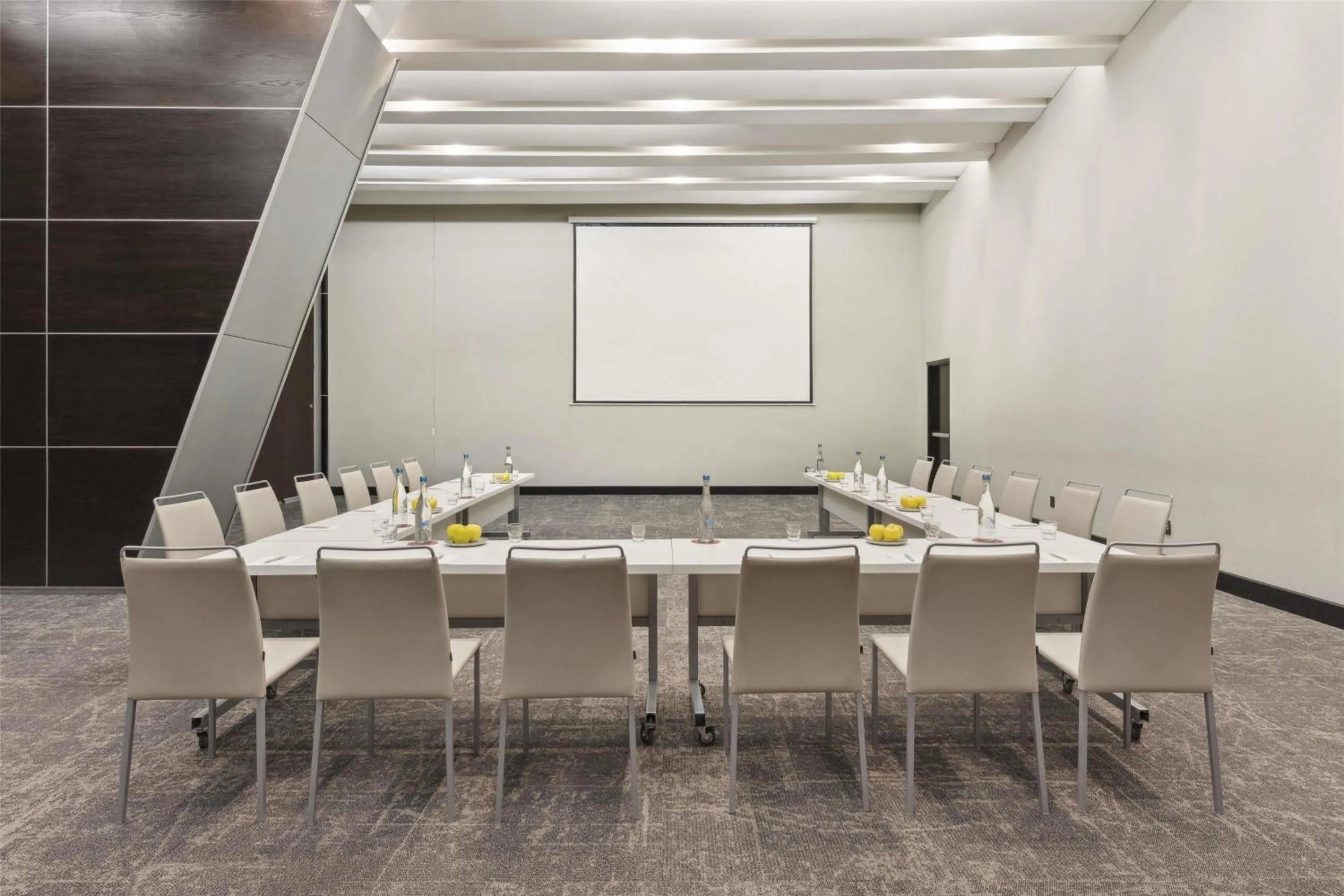 Meeting/conference room in NH Collection Monterrey San Pedro
