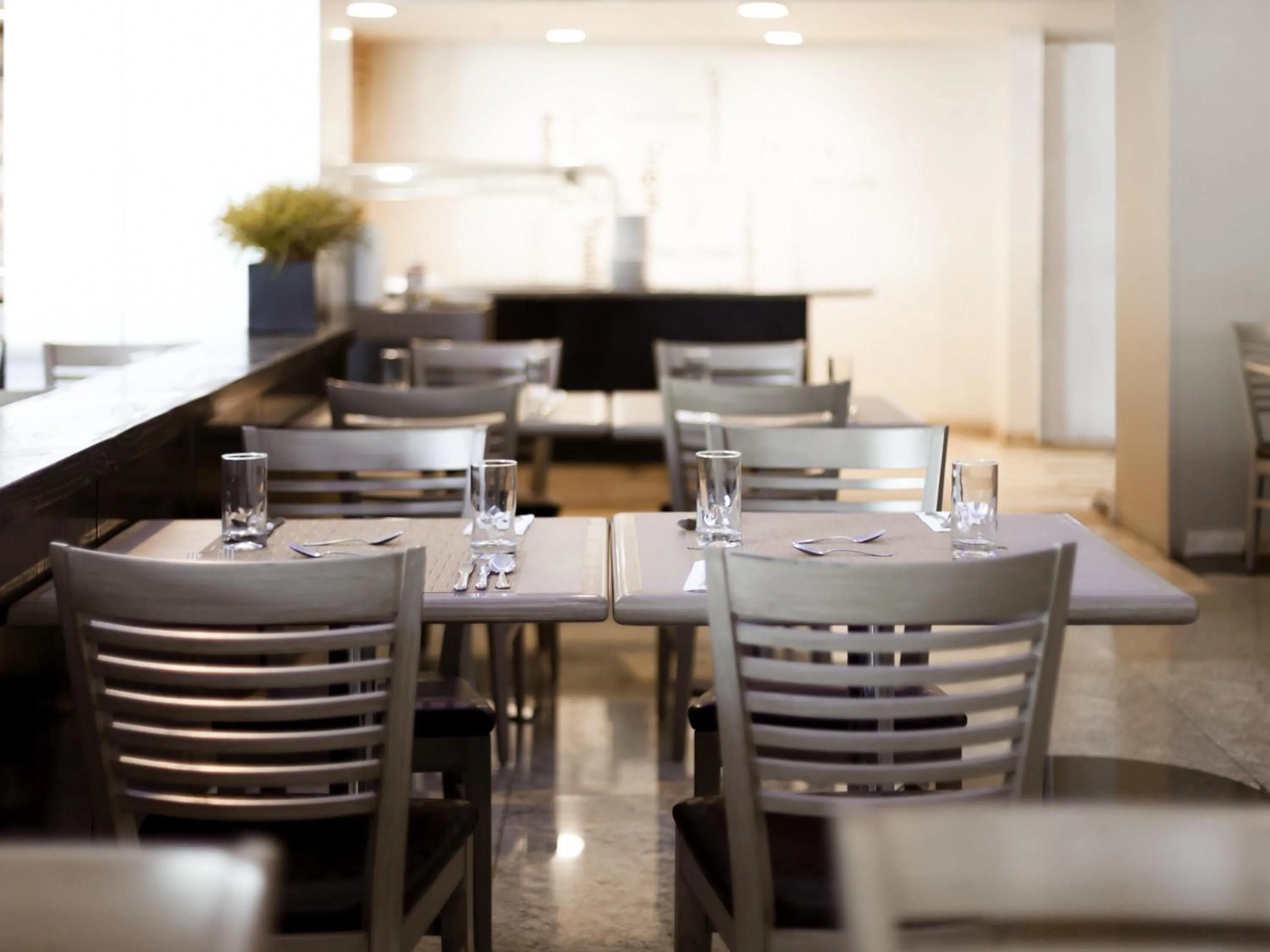 Restaurant/places to eat in Novotel Monterrey Valle