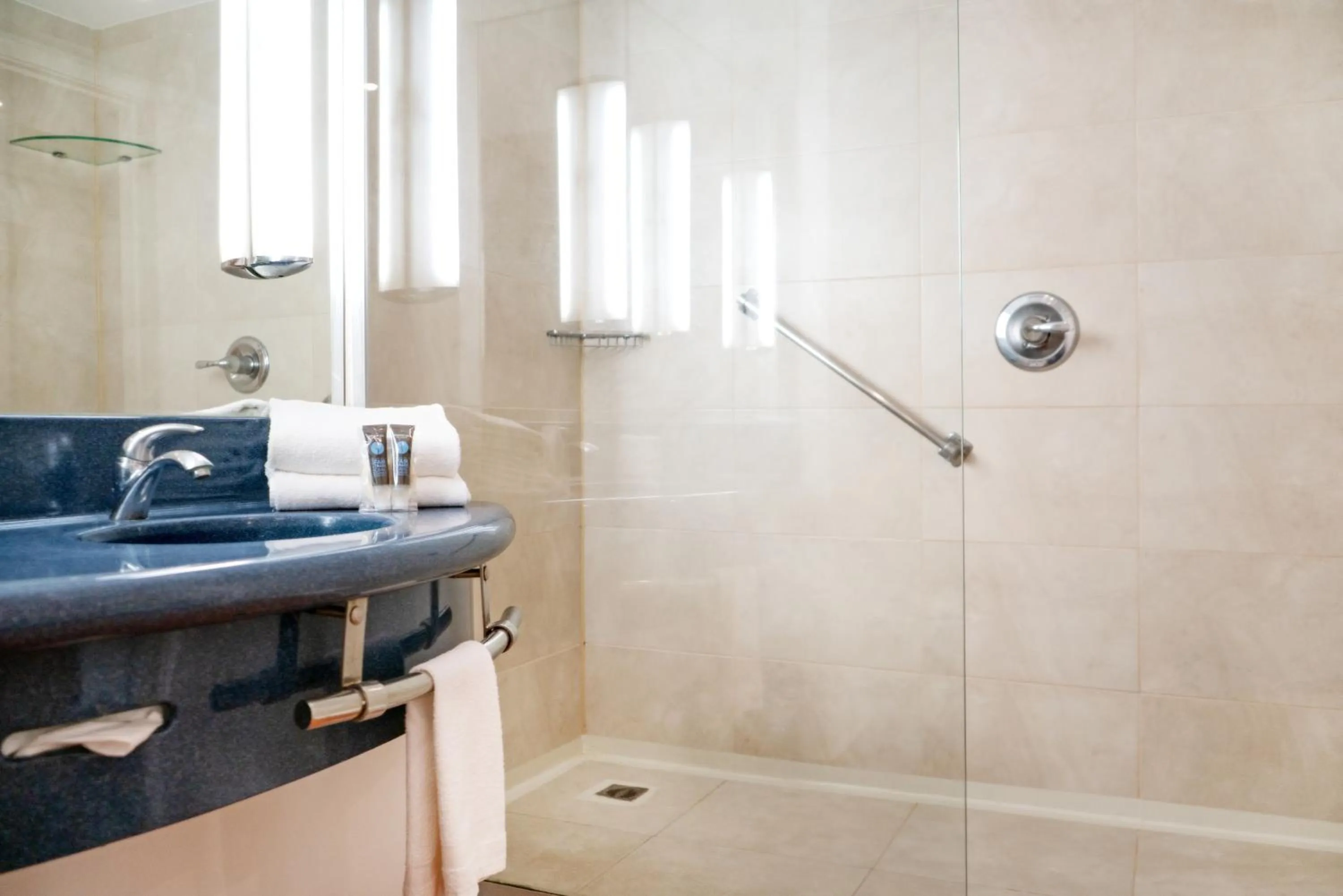 Bathroom in Novotel Monterrey Valle