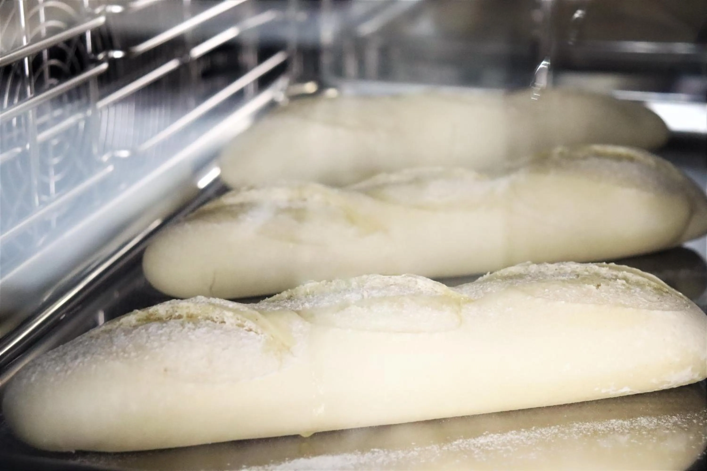 Restaurant/places to eat in Hotel New Port Yokosuka