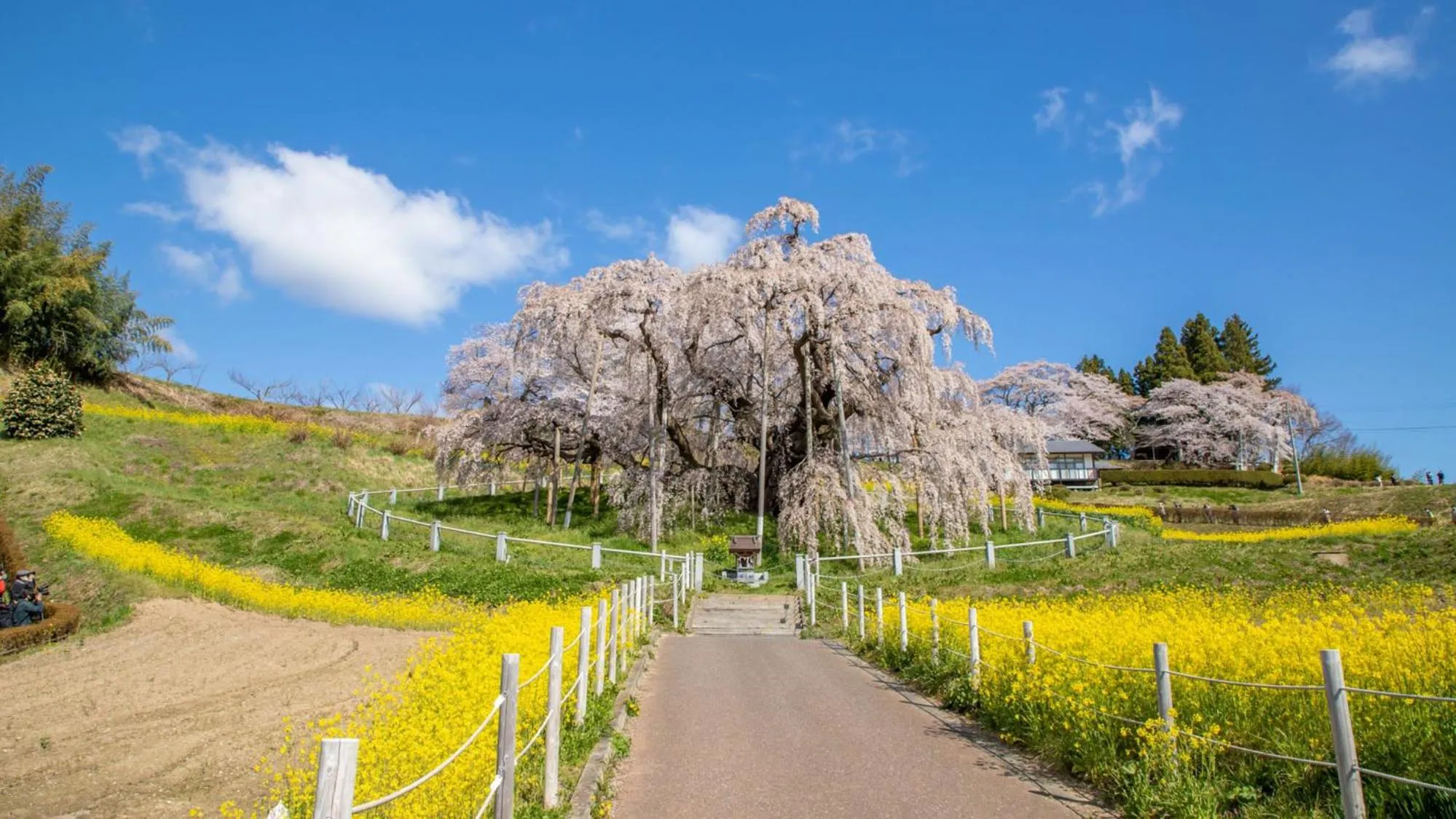 Nearby landmark in Toyoko Inn Koriyama
