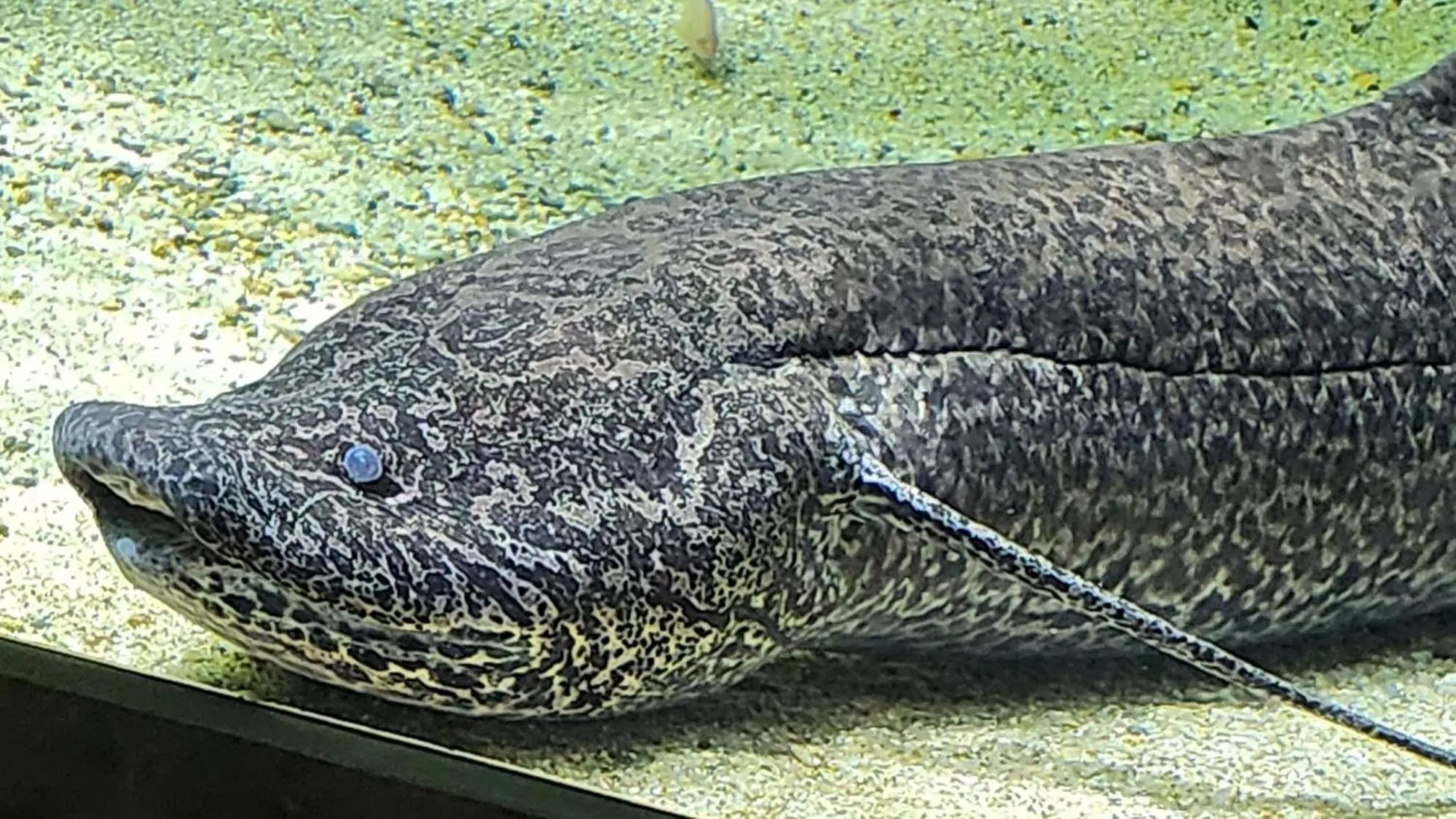 Nearby landmark in Toyoko Inn Kawasaki Ekimae Isago