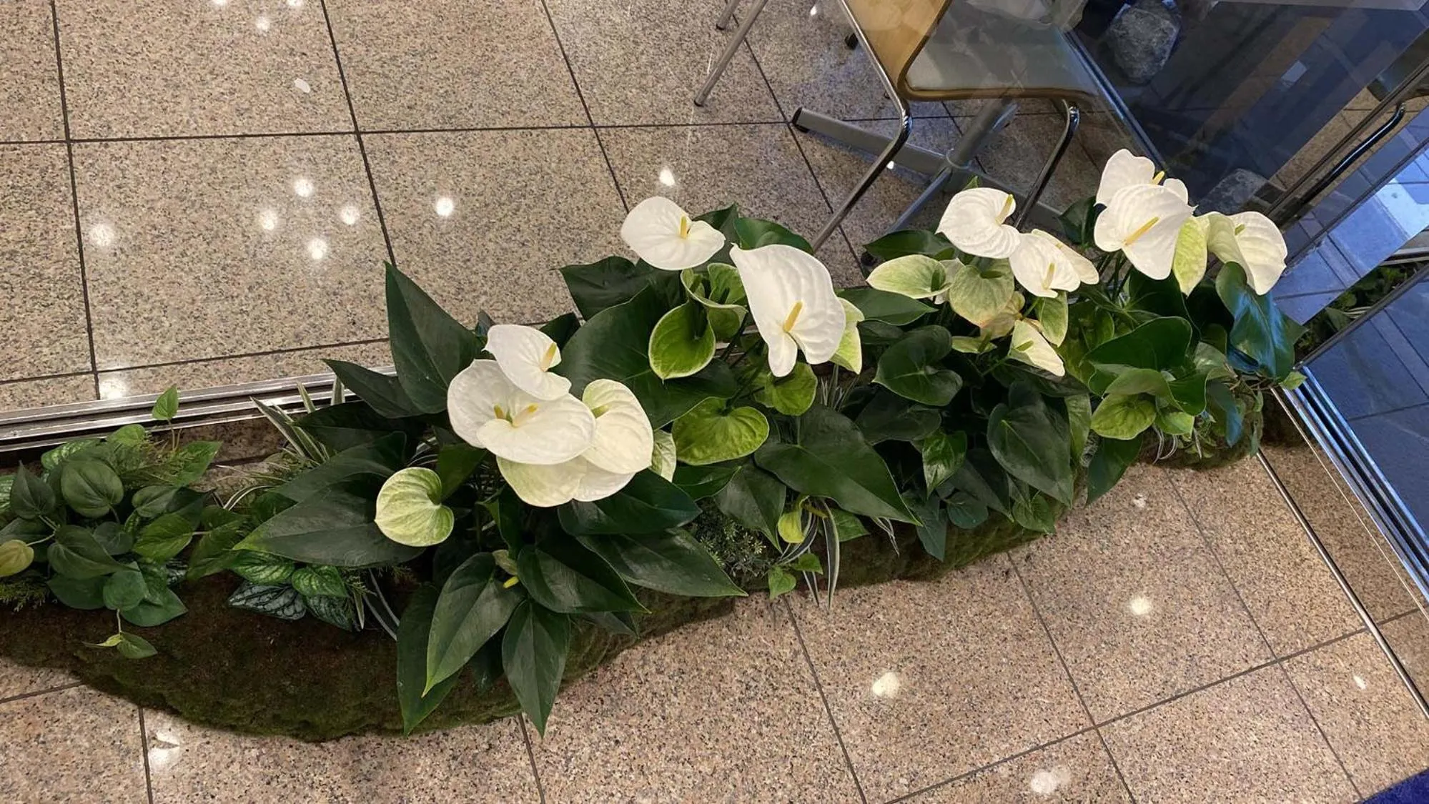 Other in Toyoko Inn Kyoto Gojo-karasuma