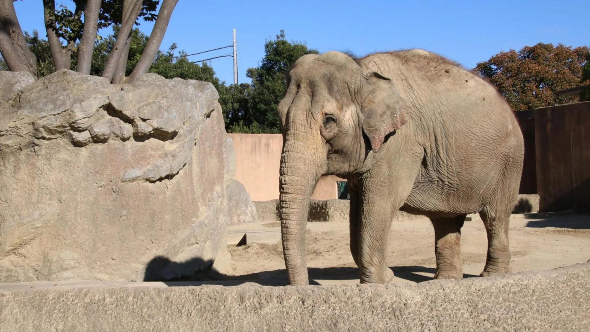 Nearby landmark in Toyoko Inn Hitachi Ekimae