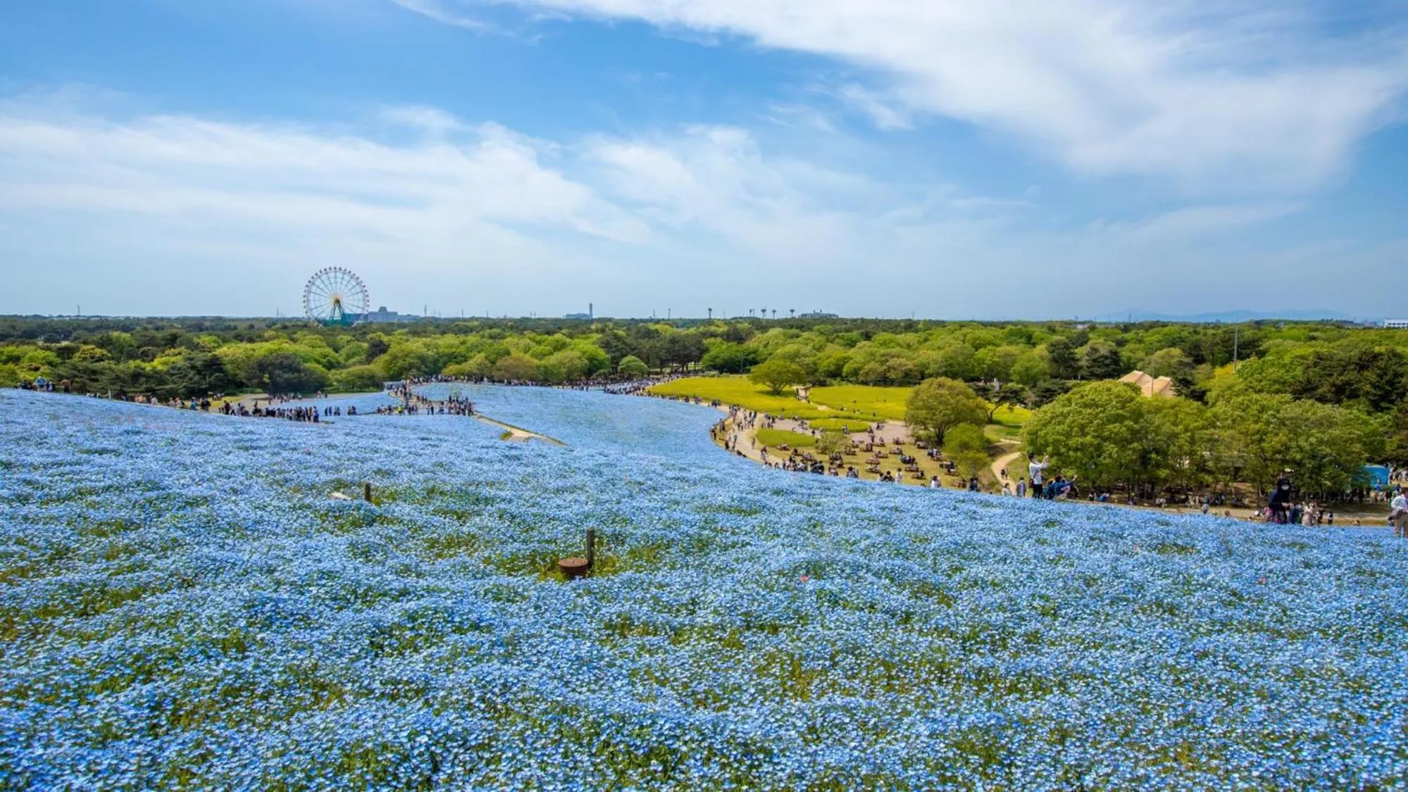 Nearby landmark in Toyoko Inn Hitachi Ekimae