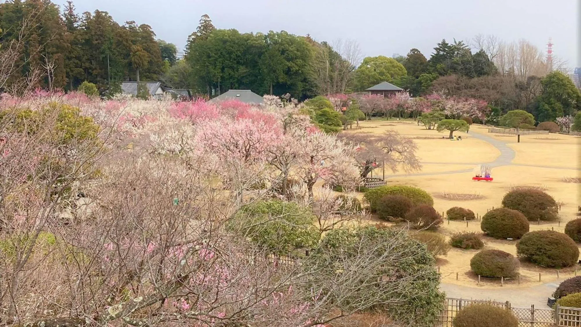Nearby landmark in Toyoko Inn Mito-eki Minami-guchi