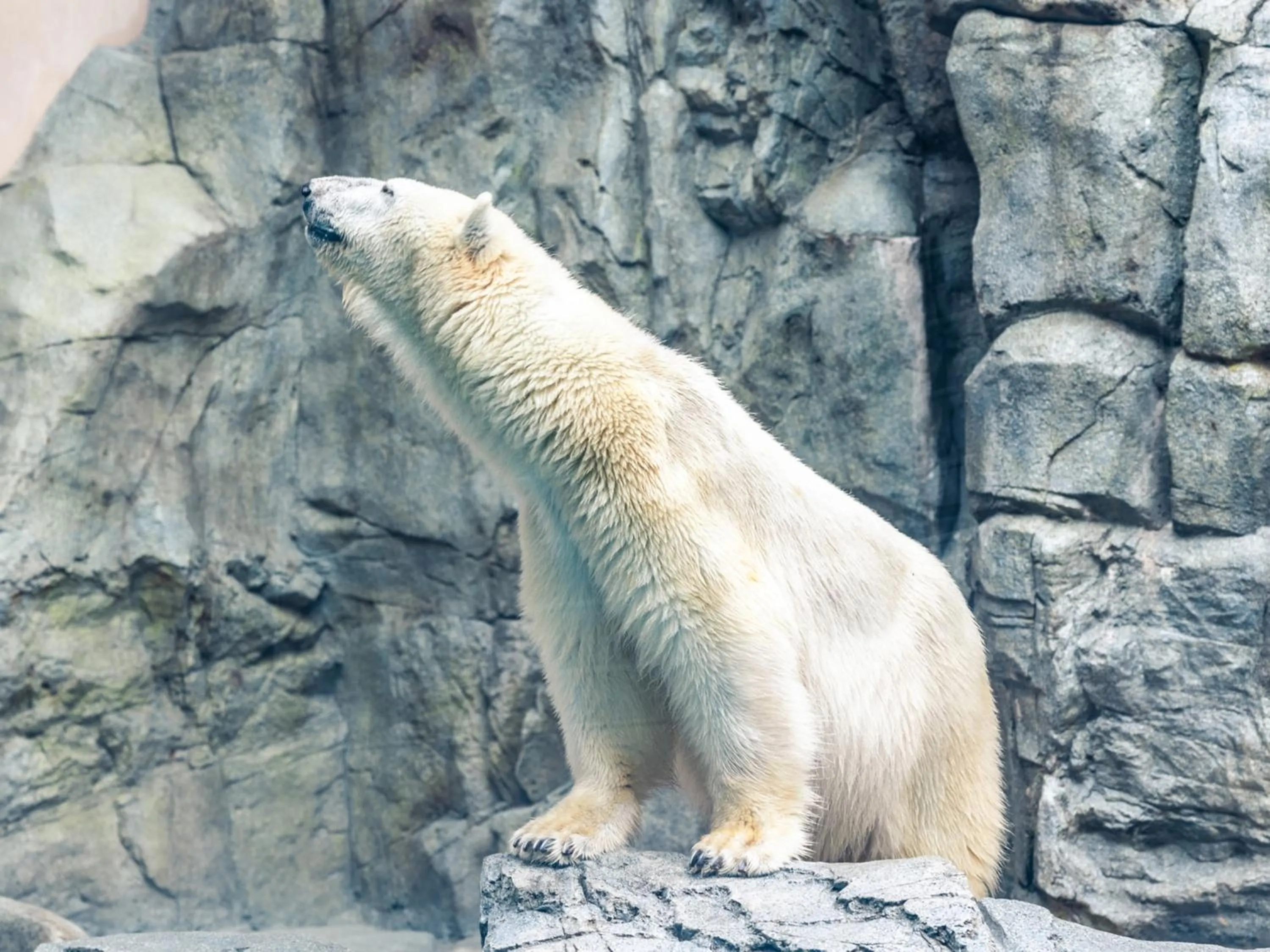 Nearby landmark in Toyoko Inn Akita-eki Higashi-guchi