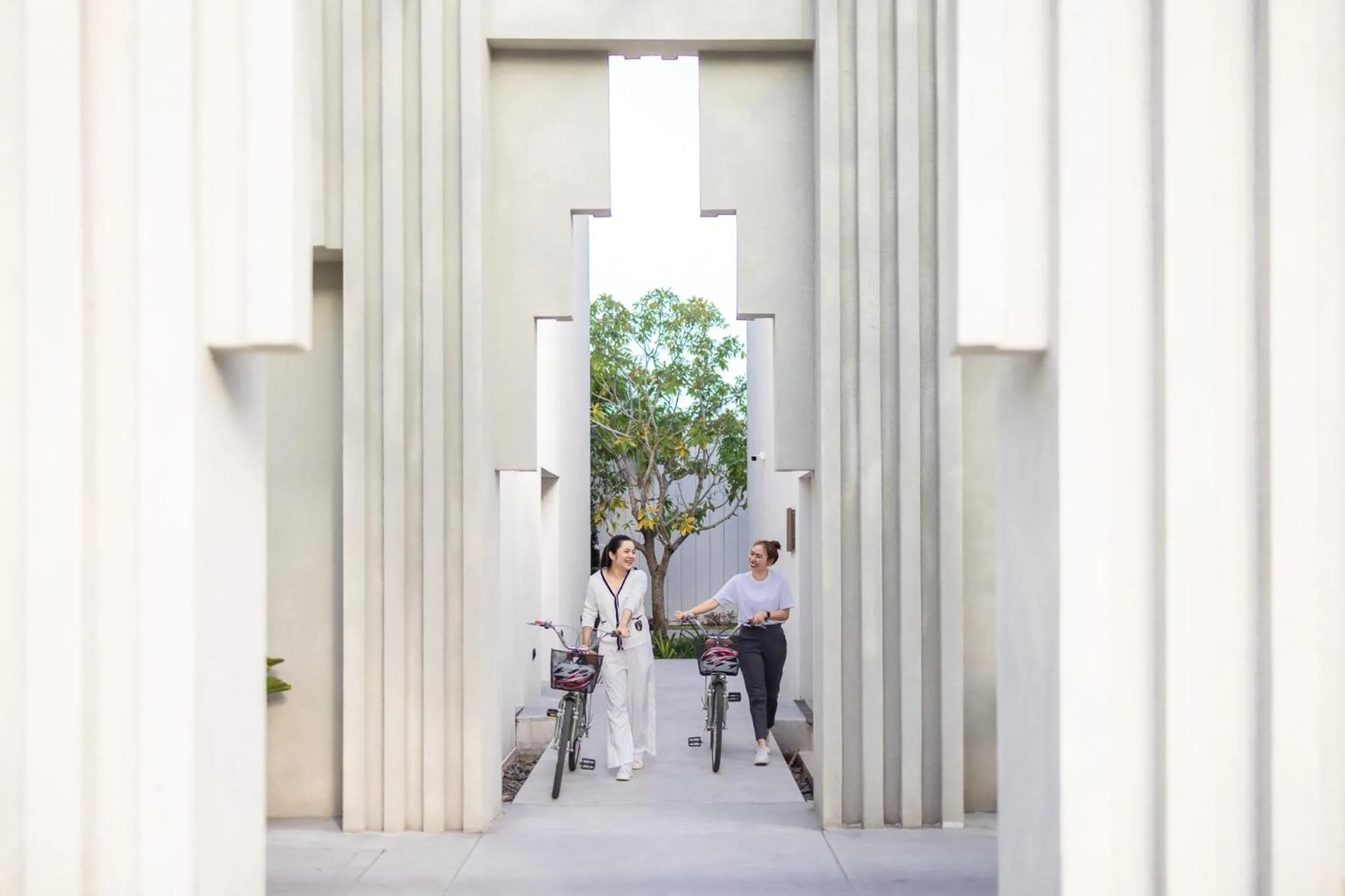 Activities in The Culture Samui