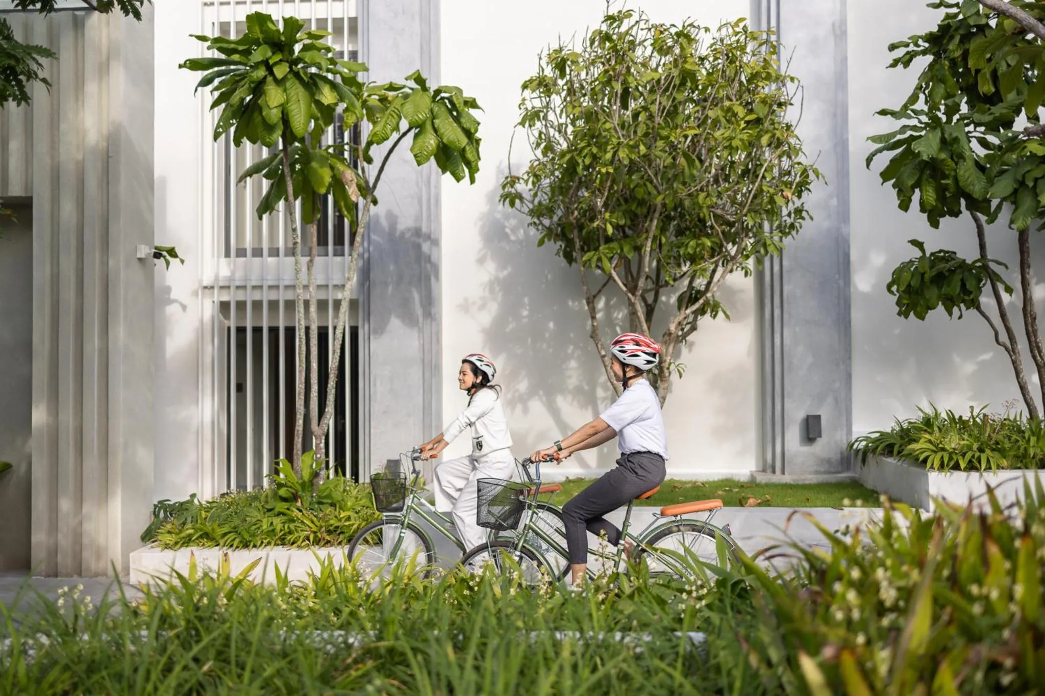 Activities in The Culture Samui