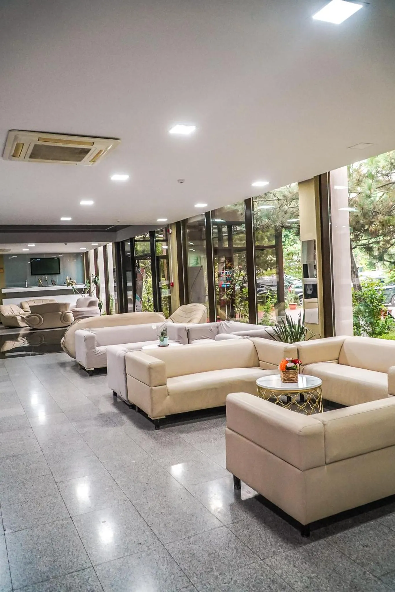 Lobby or reception in Hotel & MedSpa Siret
