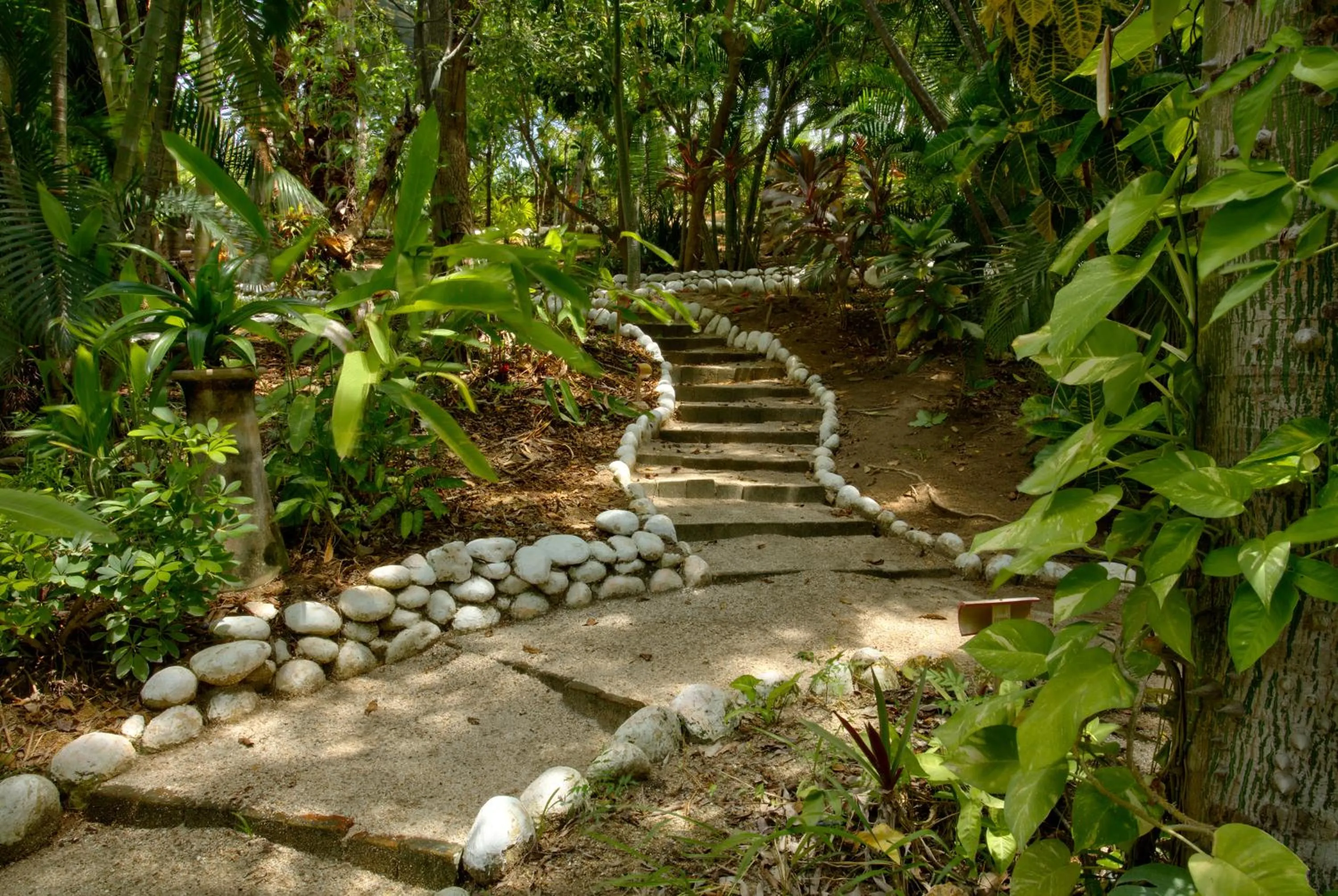 Natural landscape in Las Brisas Huatulco-All Inclusive