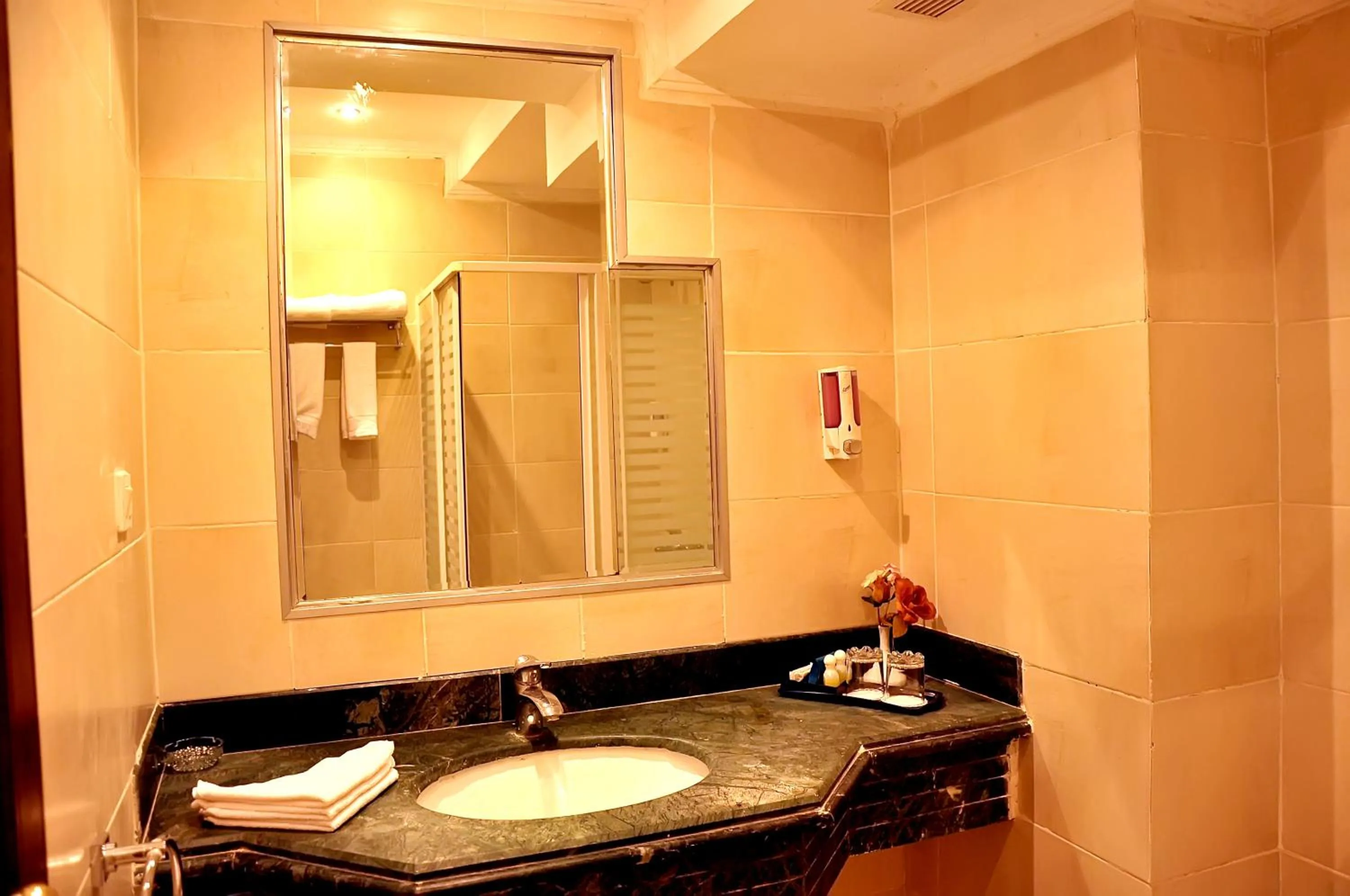 Bathroom in Sharming Inn Hotels - Couples and Families Only