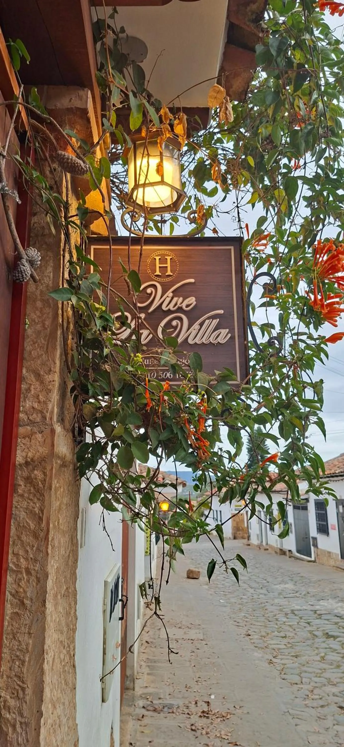 Street view in Vivelavilla suites VDL