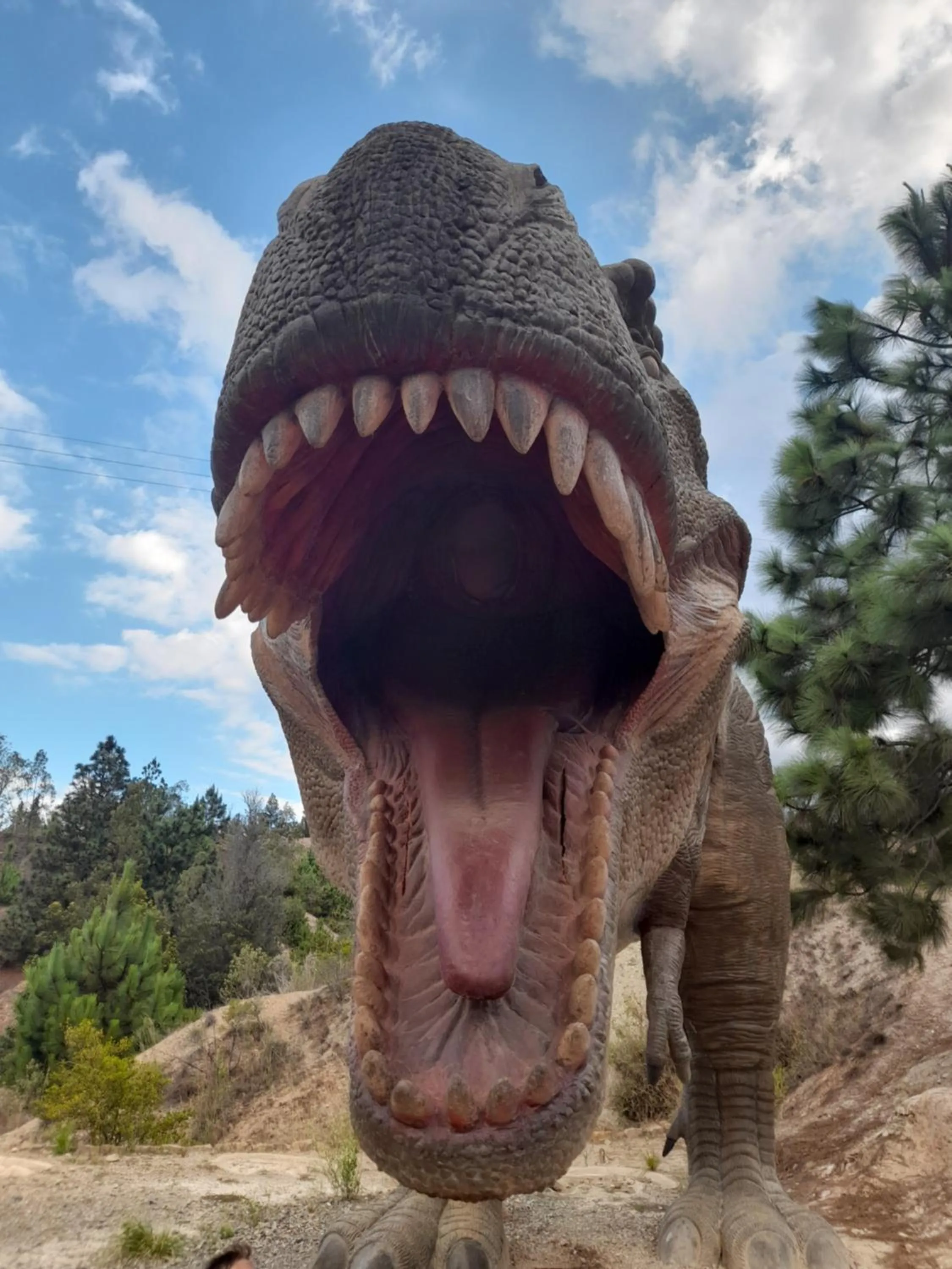 Nearby landmark in Vivelavilla suites VDL