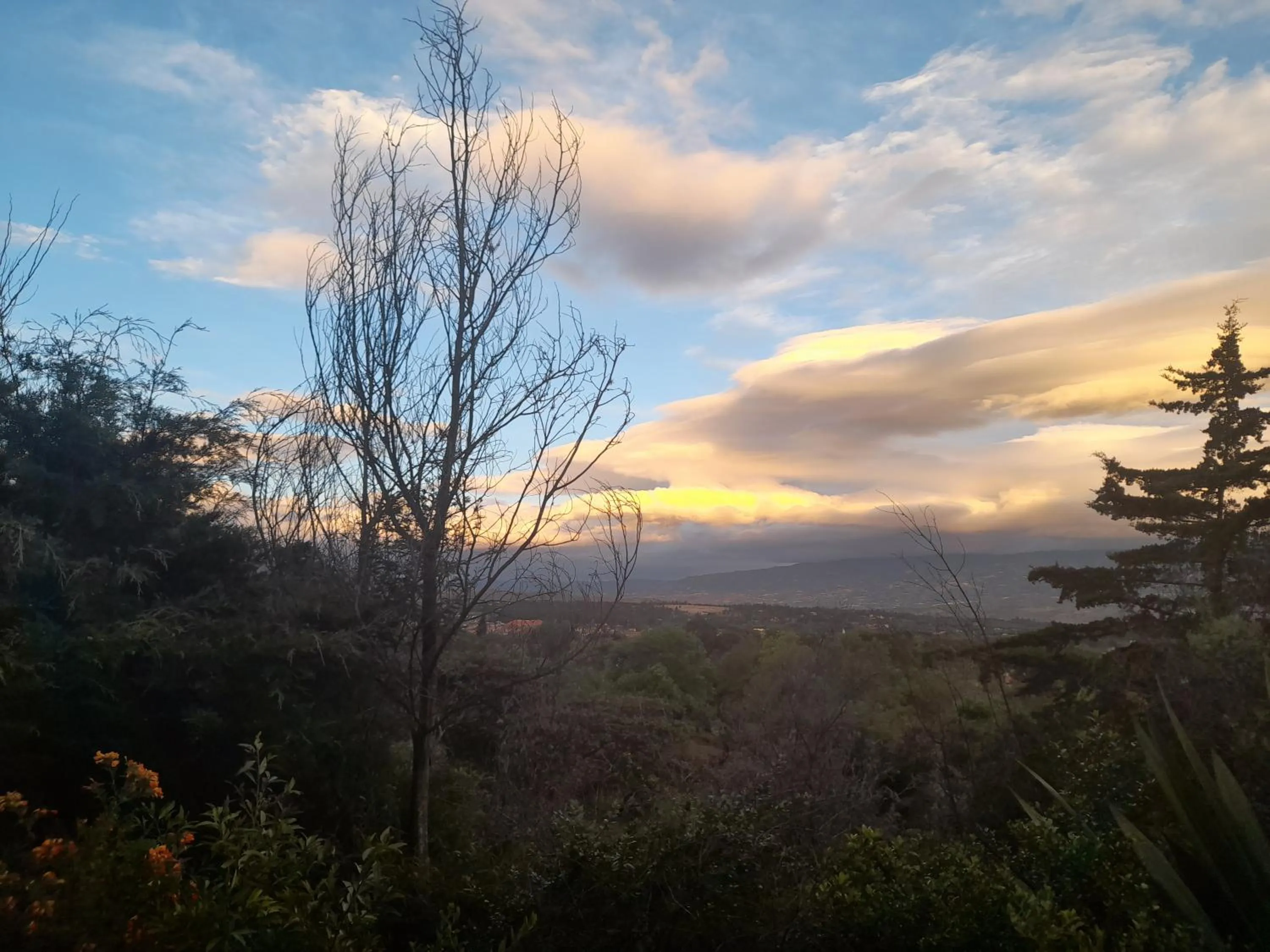 Natural landscape in Vivelavilla suites VDL