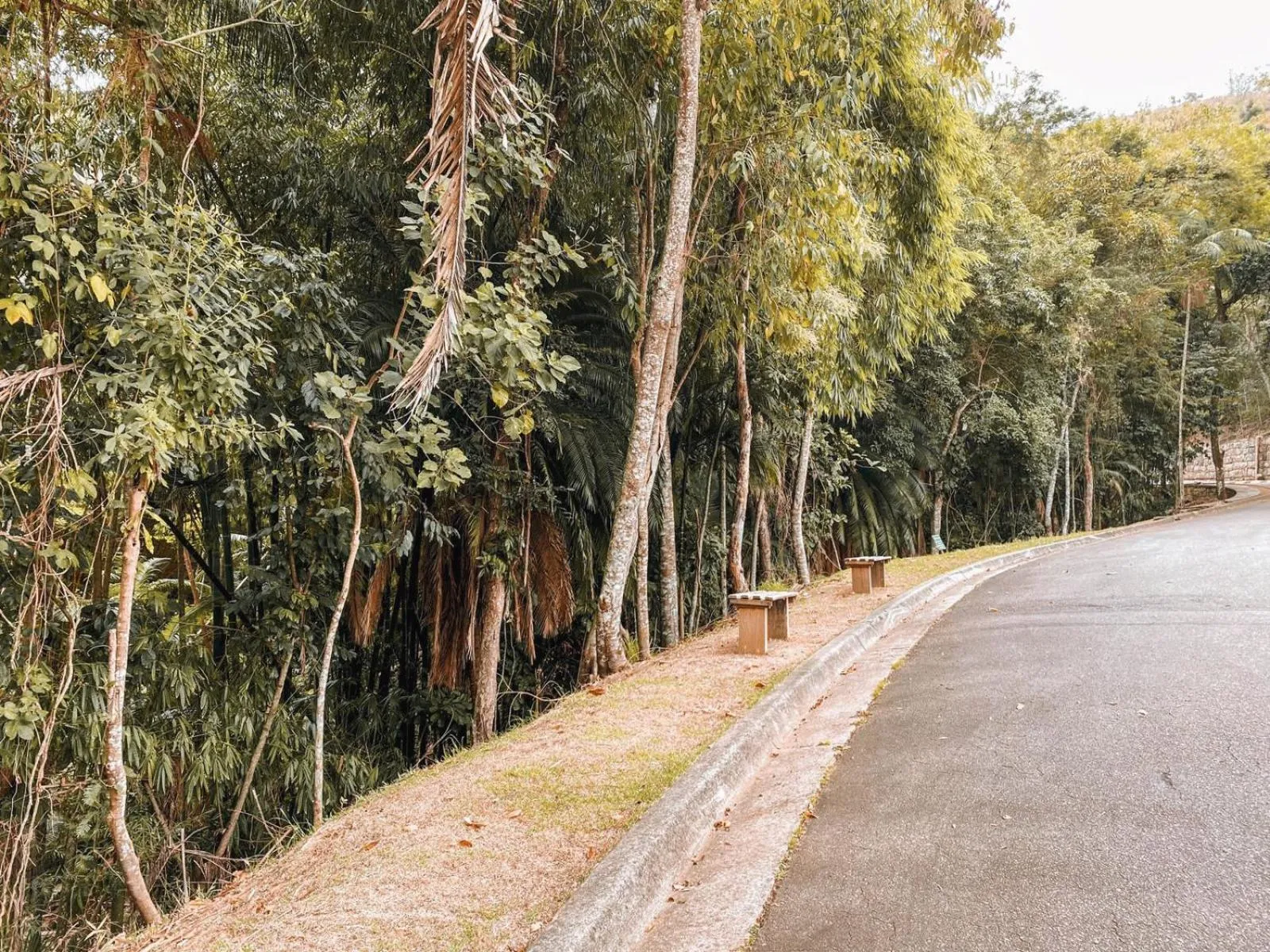 Natural landscape in Apart-hotel Granja Brasil Itaipava