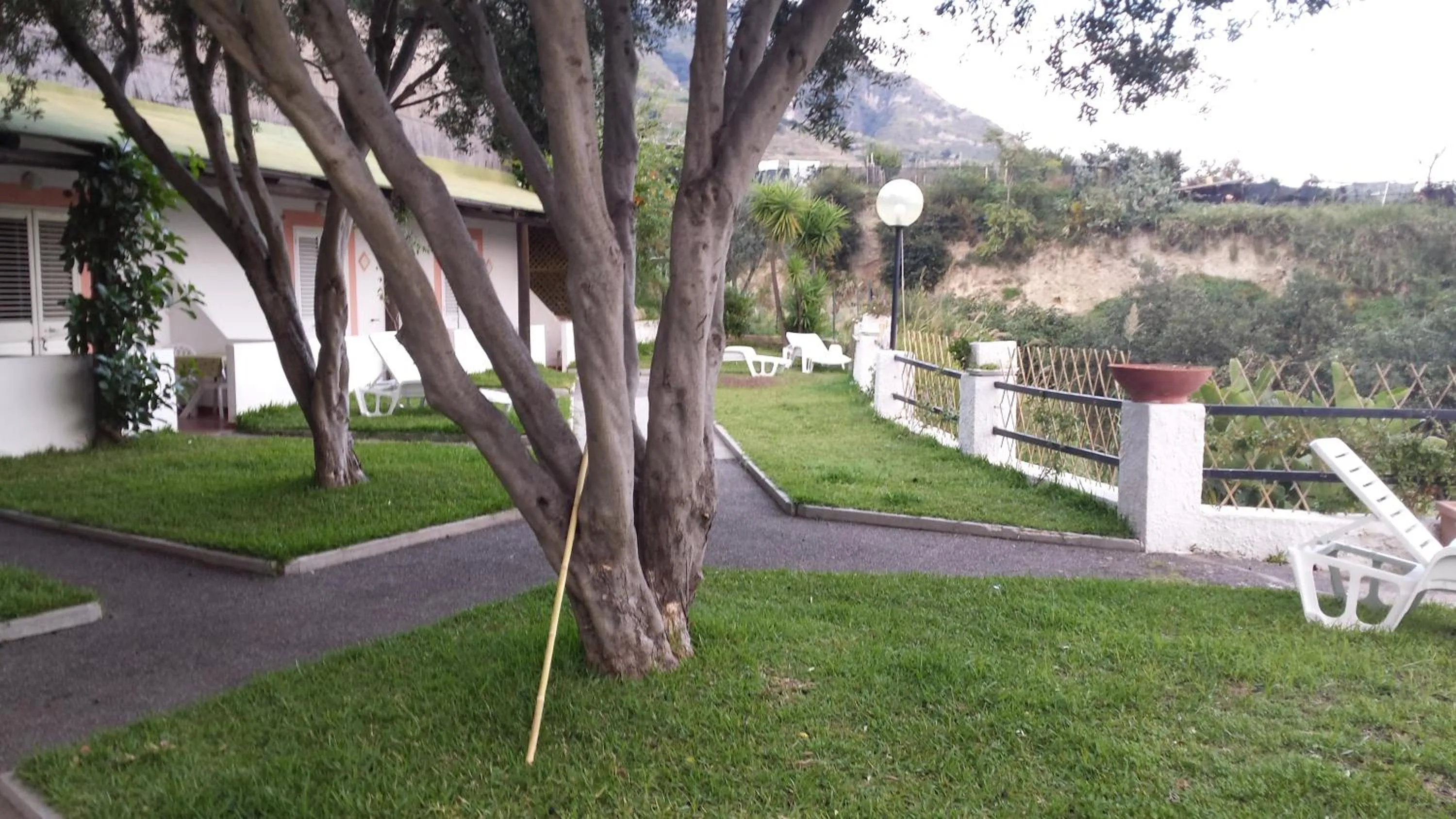 Garden in Hotel Castiglione