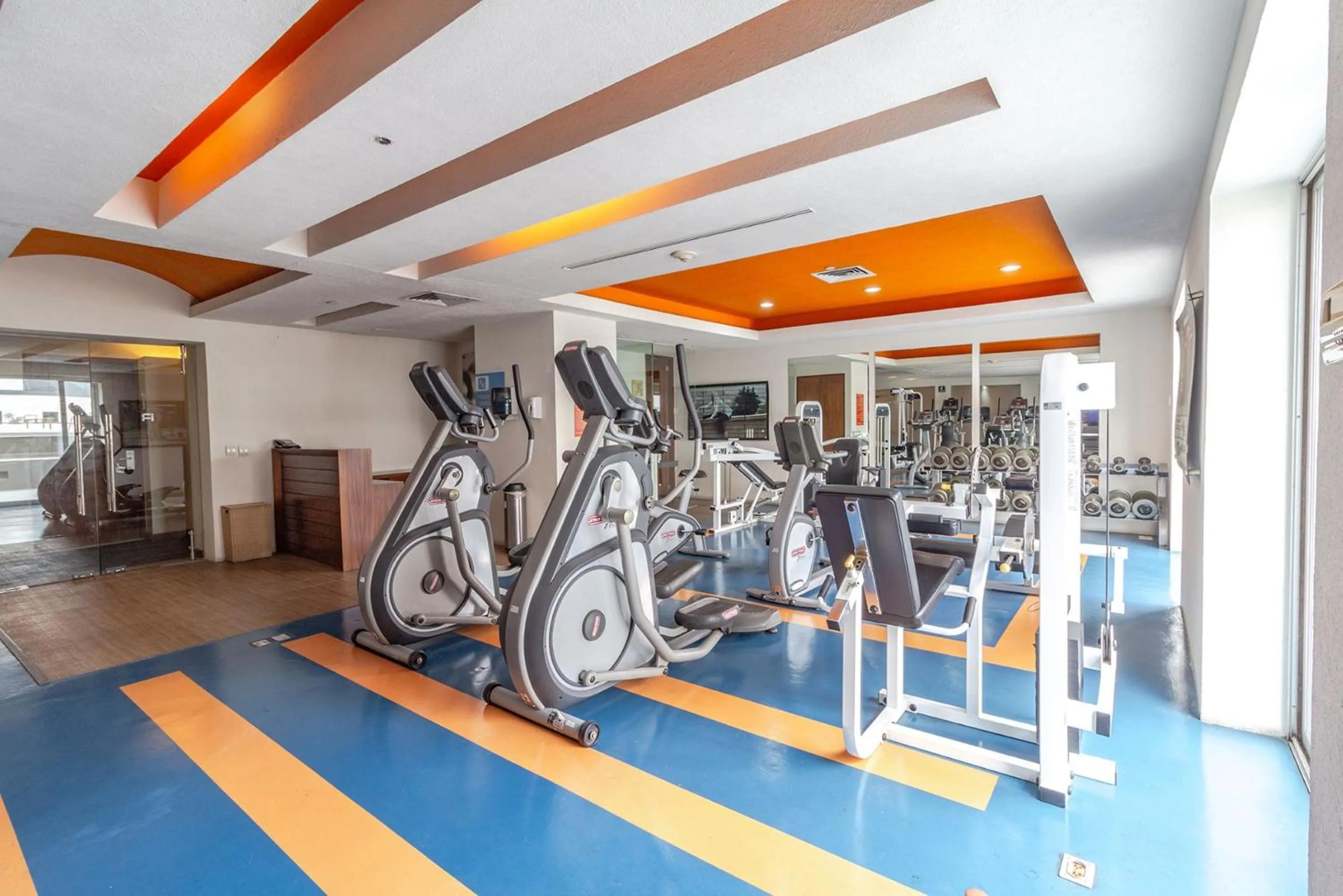 Fitness centre/facilities in Real Inn Guadalajara Expo