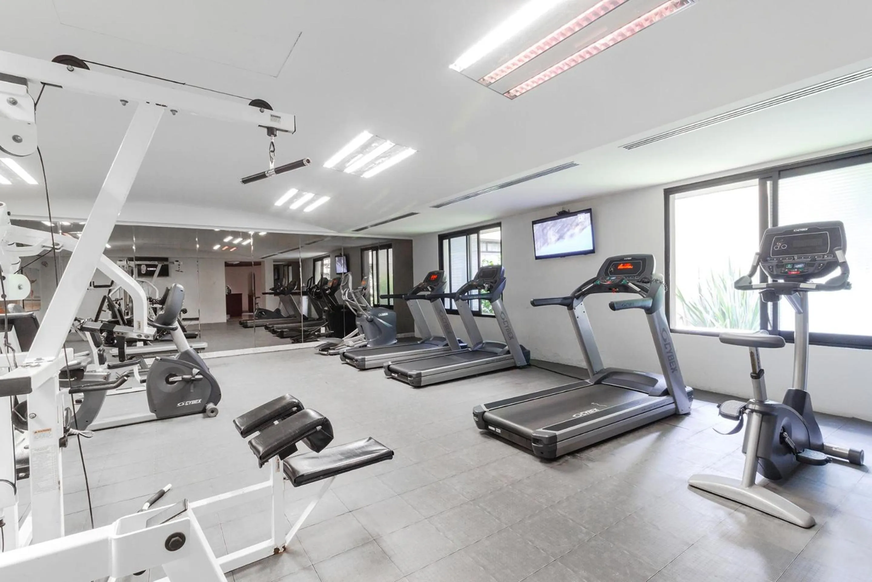 Fitness centre/facilities in Camino Real Guadalajara
